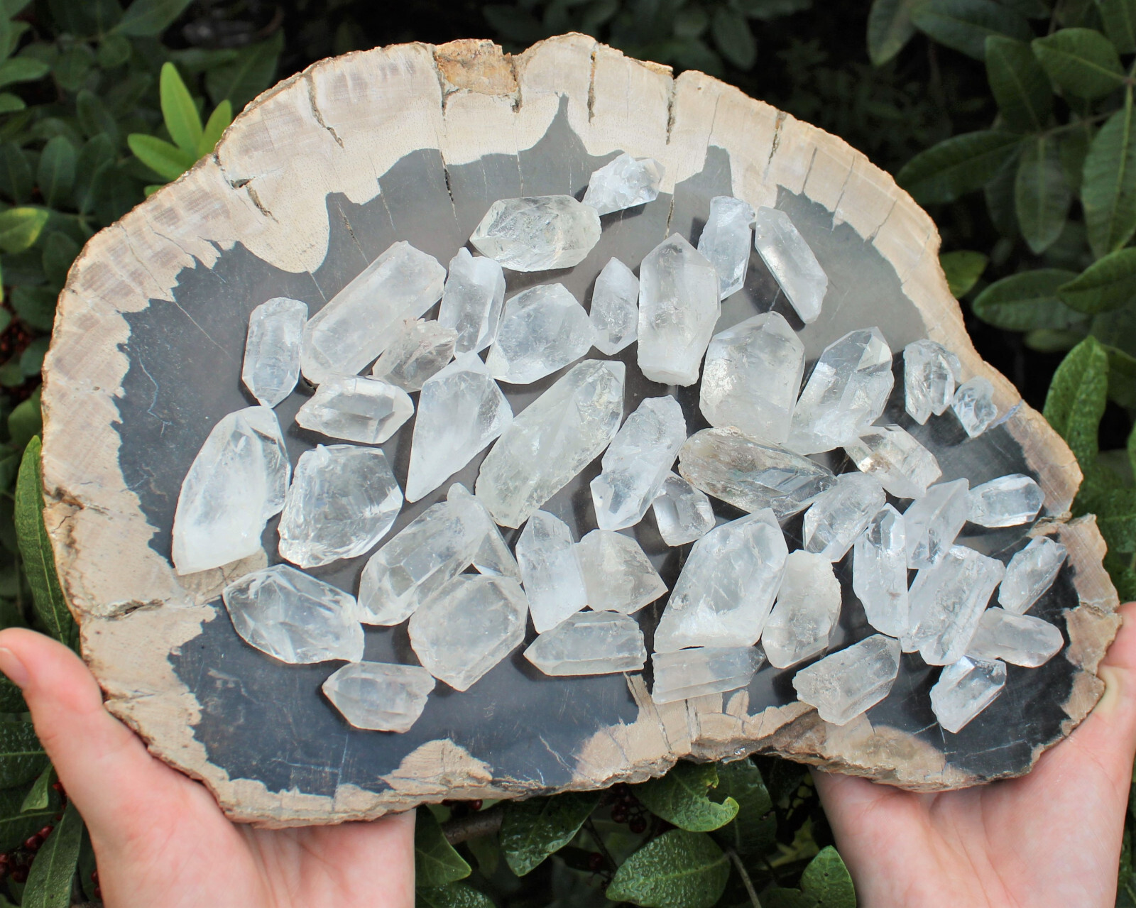 1/2 lb Bulk Wholesale Mixed Smoky & Quartz Crystal Points, Natural Clear Smokey