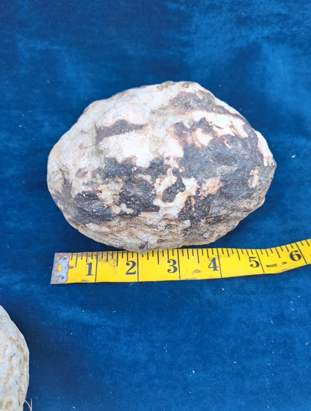 Large Kentucky Geode 3–5 inch – Crack Open Giant Quartz Crystal Rock – Authentic