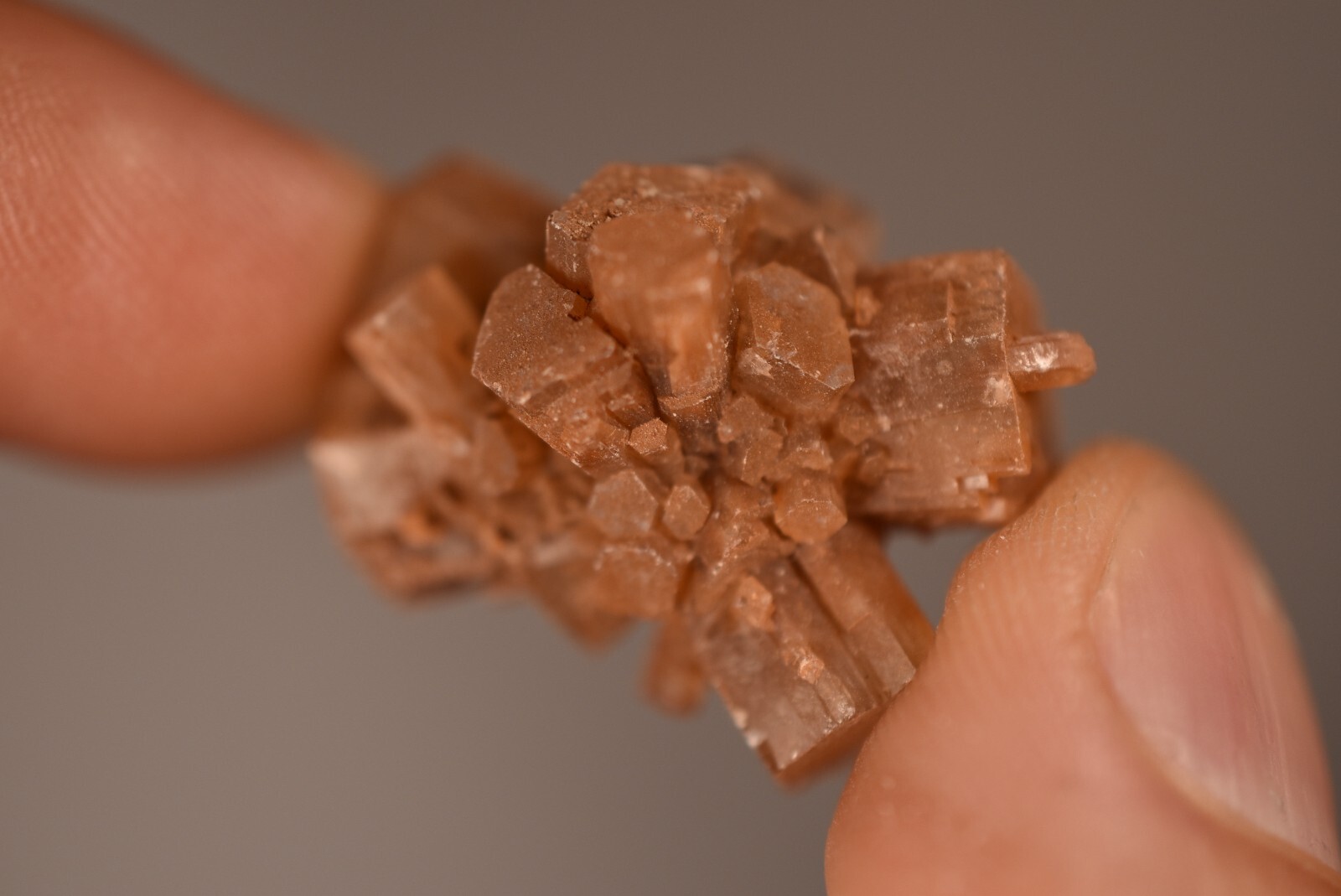 *ARAGONITE* SPUTNIK 2.8cm 11.4g Natural Crystal Cluster Specimen Brown Clear