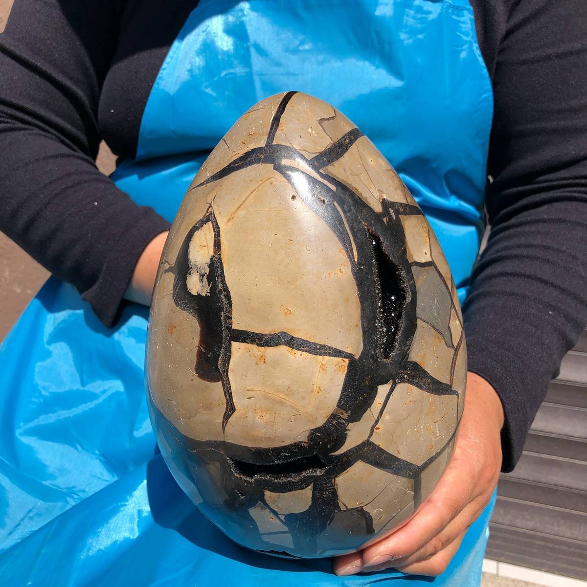 7550G Natural Turtle Back Stone Dragon Crystal Cave Crack Gem Healing 4345