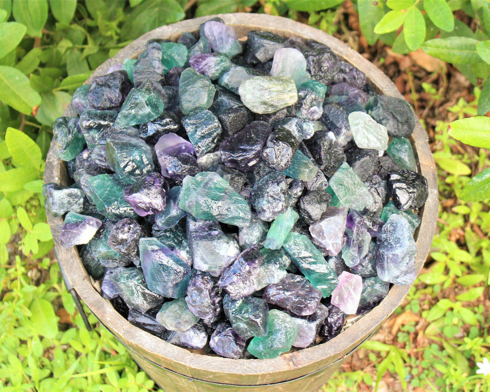 Raw Fluorite Natural Crystals: Choose How Many Pieces (Rough Rainbow Fluorite)