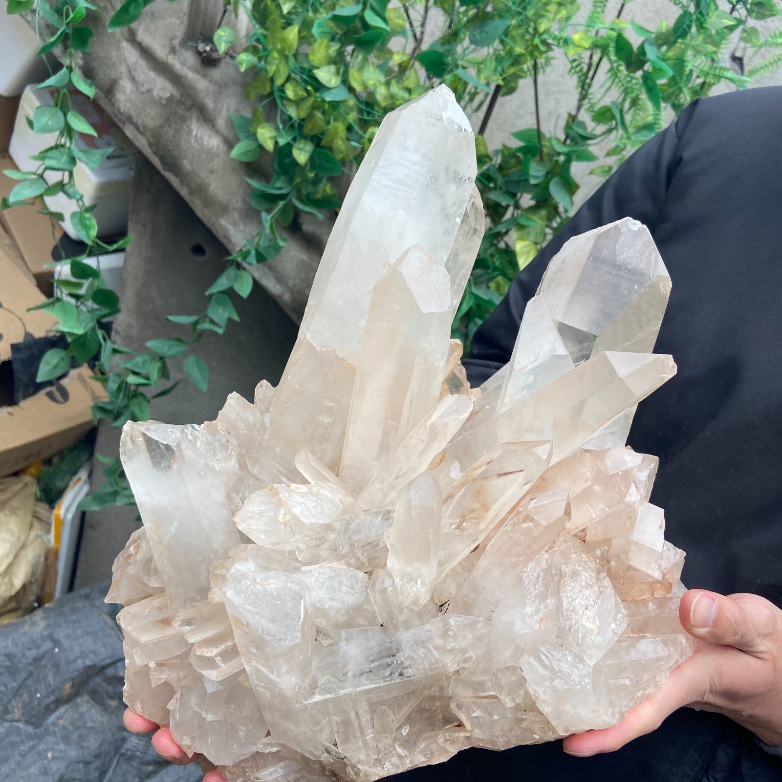 29.9lb Natural Clear White Crystal Quartz Cluster Rough Healing Specimen