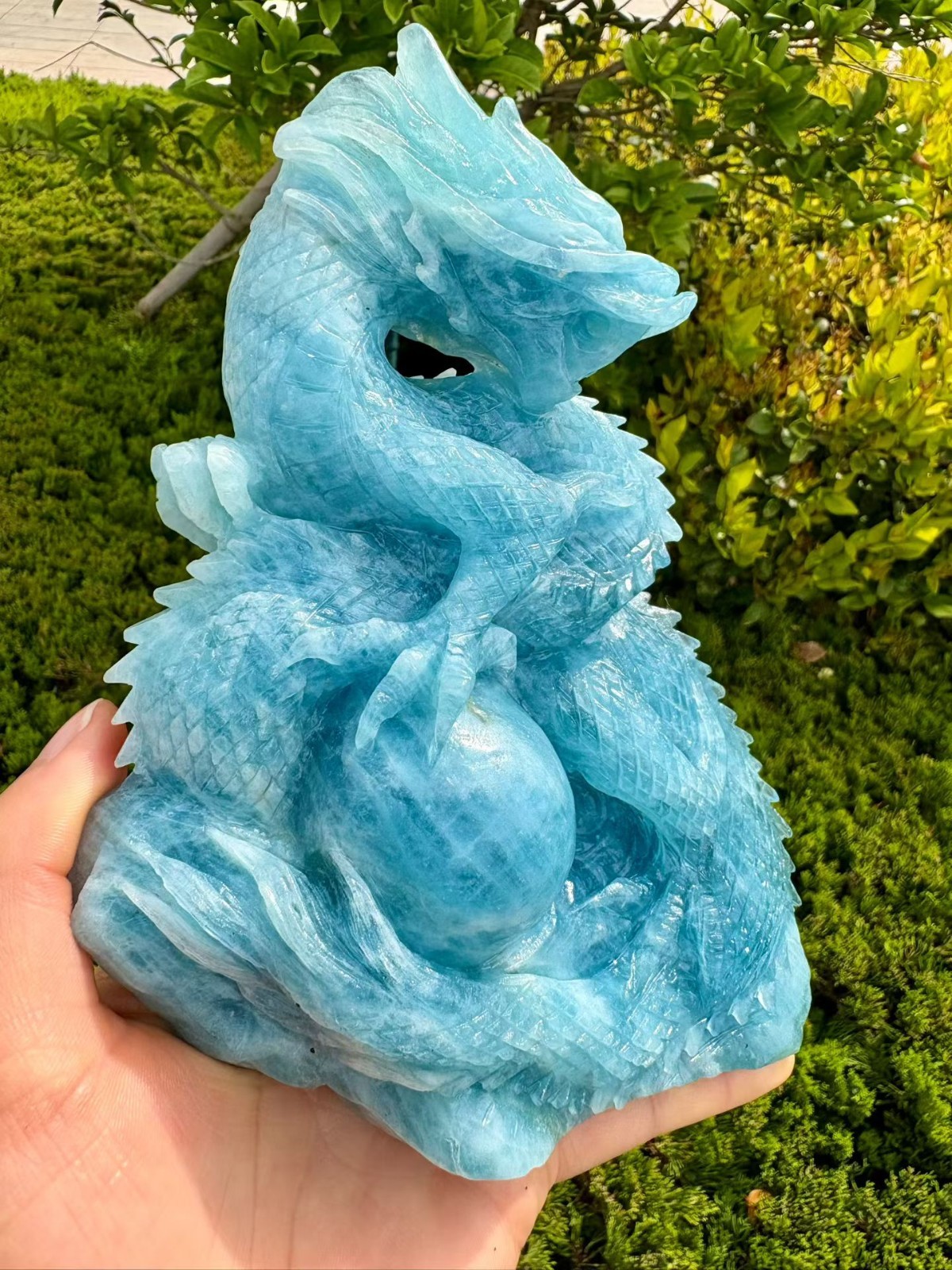 2.24LB Natural Aquamarine Quartz Carved Dragon skull crystal Reiki healing Decor