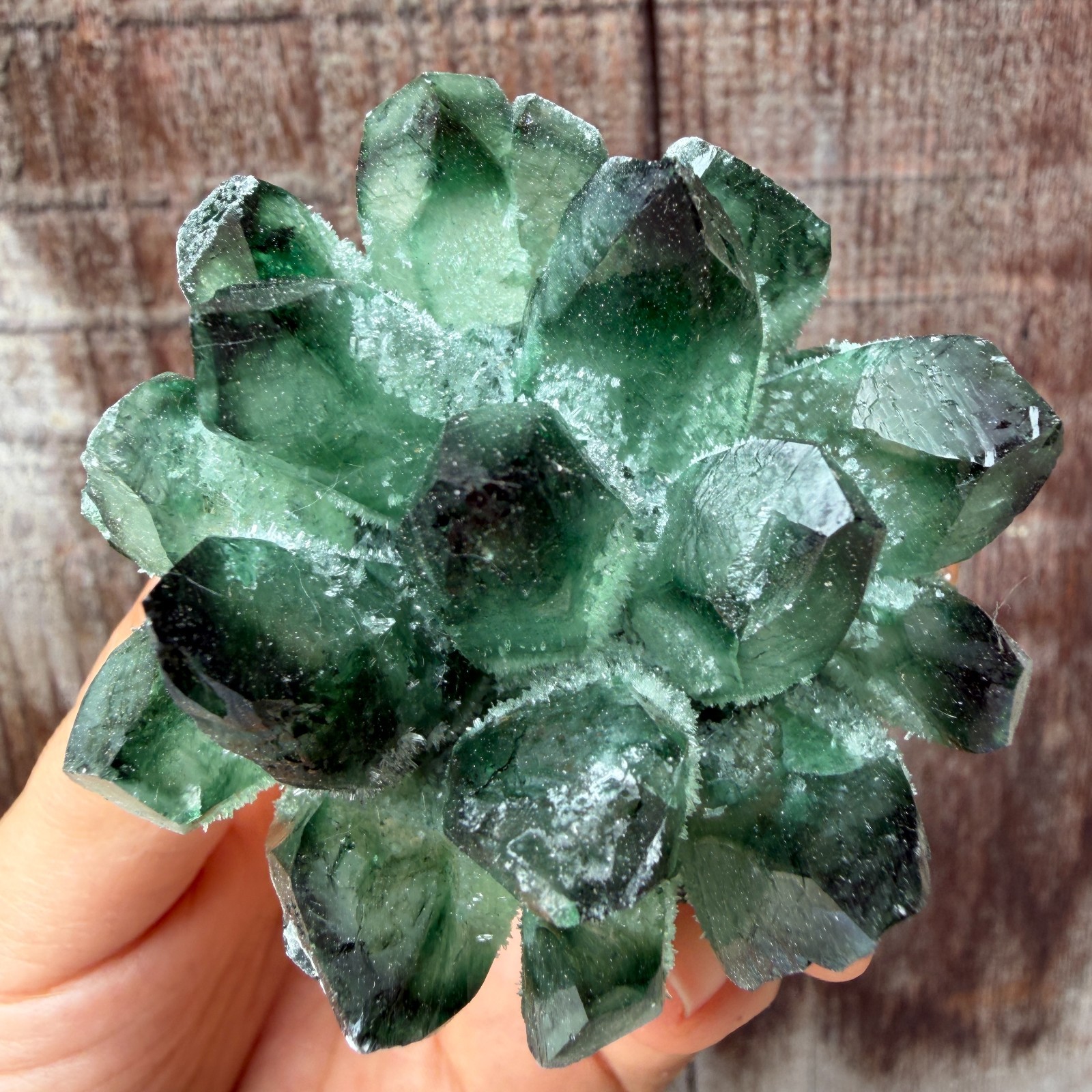 New Find green Phantom Quartz Crystal Cluster Mineral Specimen Healing 200g+ 1pc