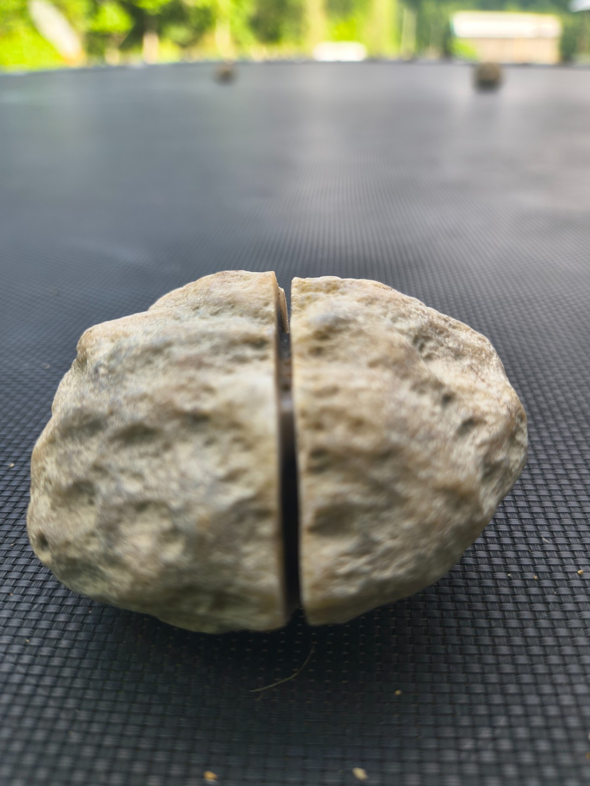 3 Large Kentucky Geodes – Pre-Scored Crack Your Own – KY Crystal Rock Lot