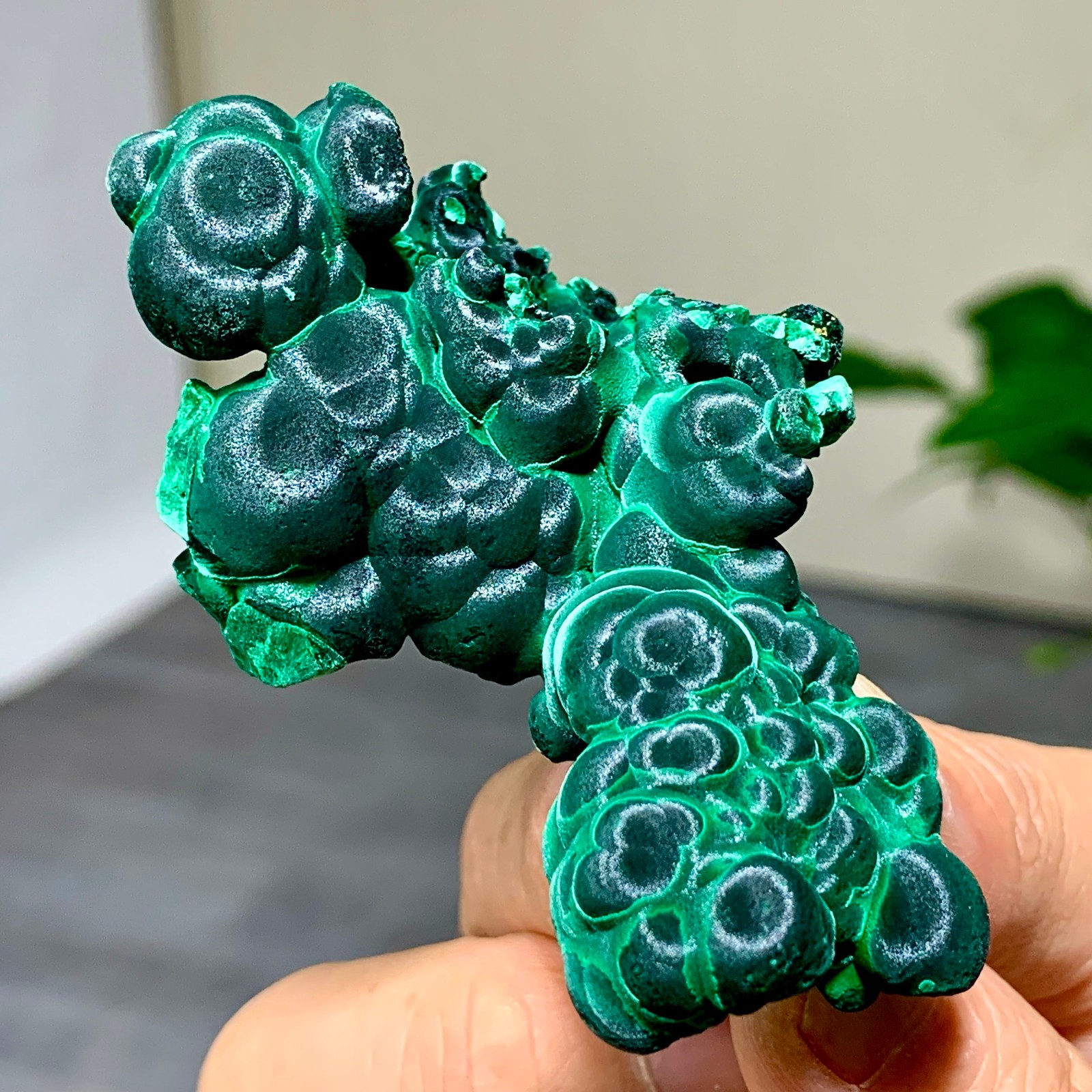 69g Natural glossy malachite cat eye transparent cluster rough mineral Sample