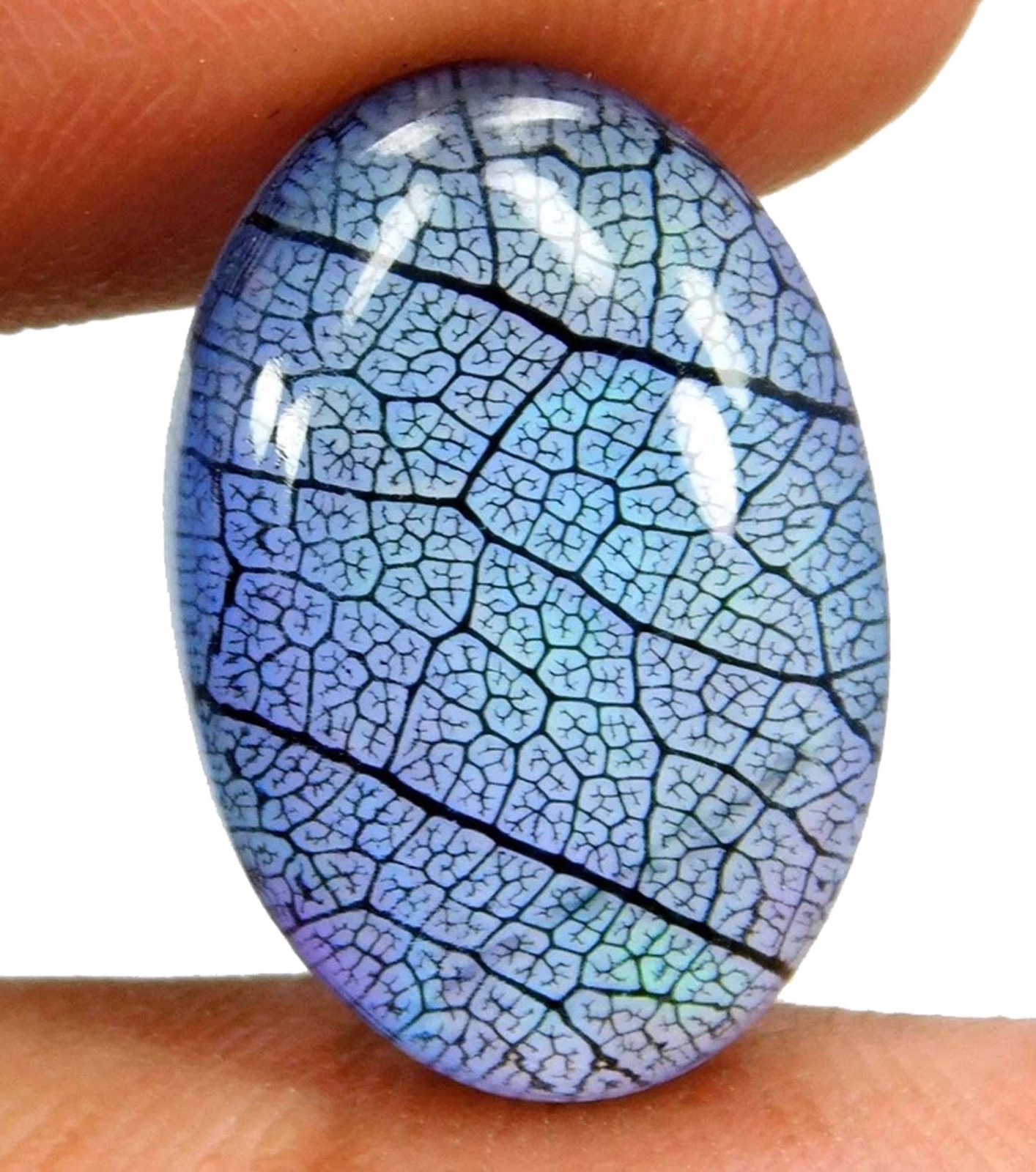 Oval IGL 7.85 Ct Natural Aurora Blue Fire Opal Doublet Rainbow Color Gems 5SJC