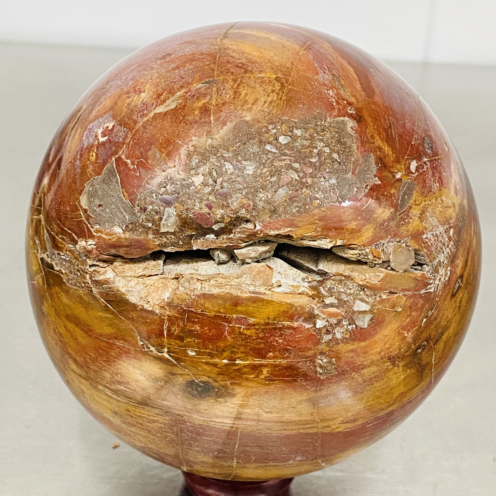 Natural Petrified Wood Polished Stone Quartz Crystal Sphere Ball Healing 2220G