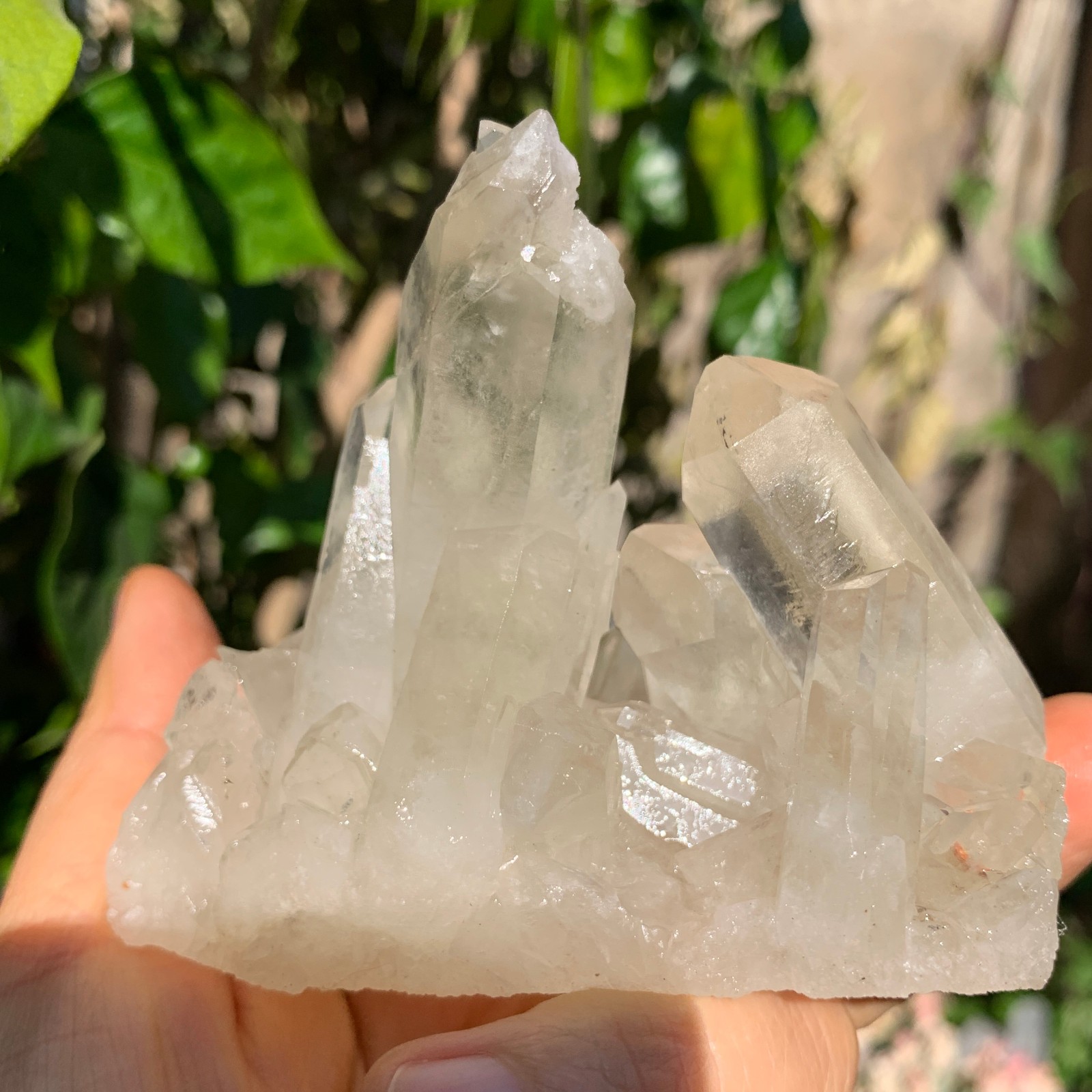 269g Natural Clear White Quartz Crystal Cluster Rough Healing Specimen