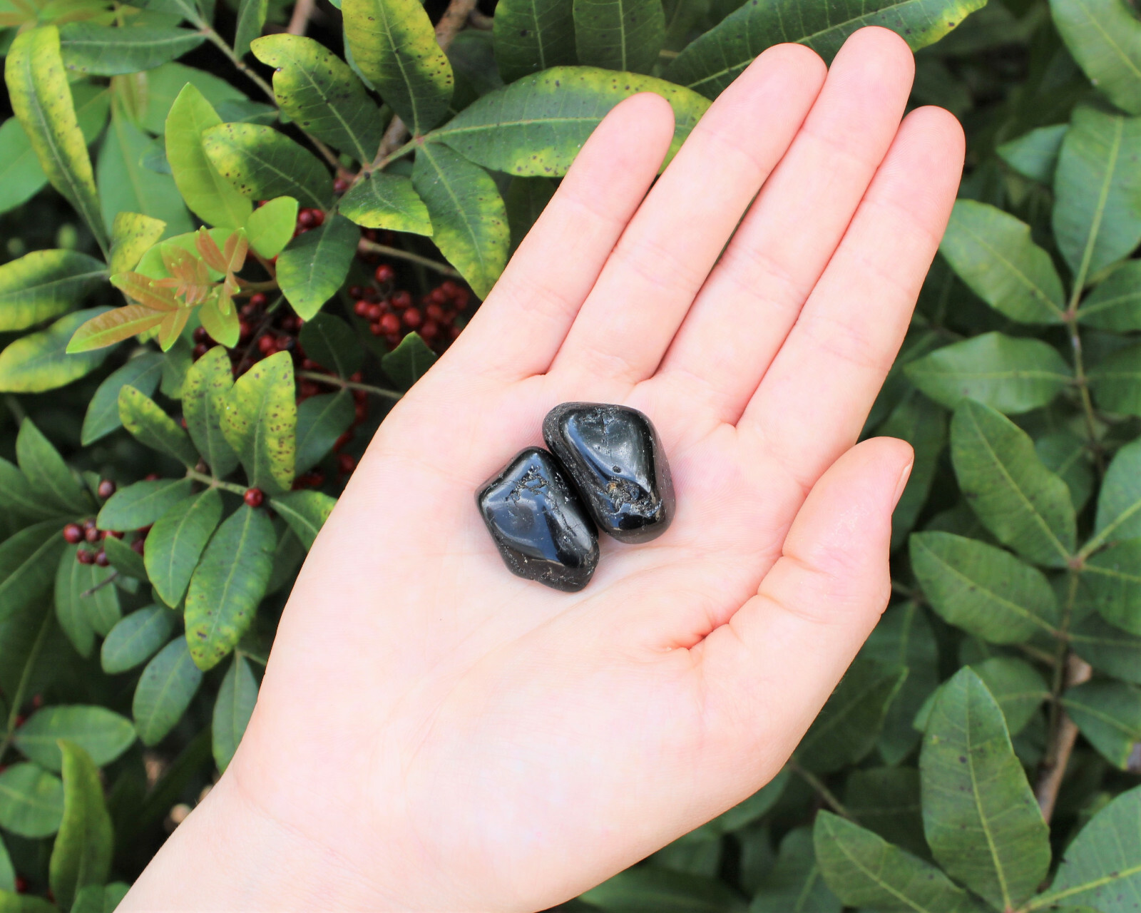 2 Small / Medium Black Tourmaline Tumbled Stone Crystal Healing Tumble Gemstone
