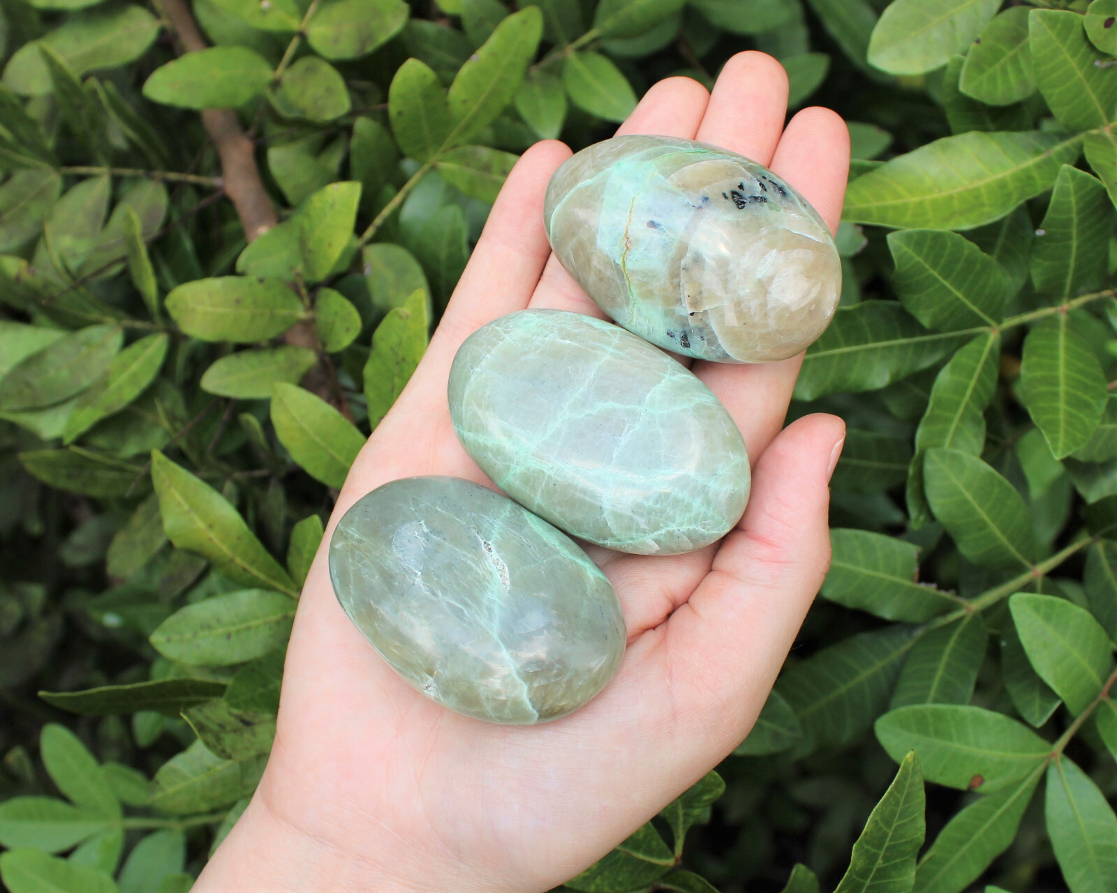 Garnierite Hand Polished Stones: Green Moonstone Pebbles, Palm Stone, Crystal