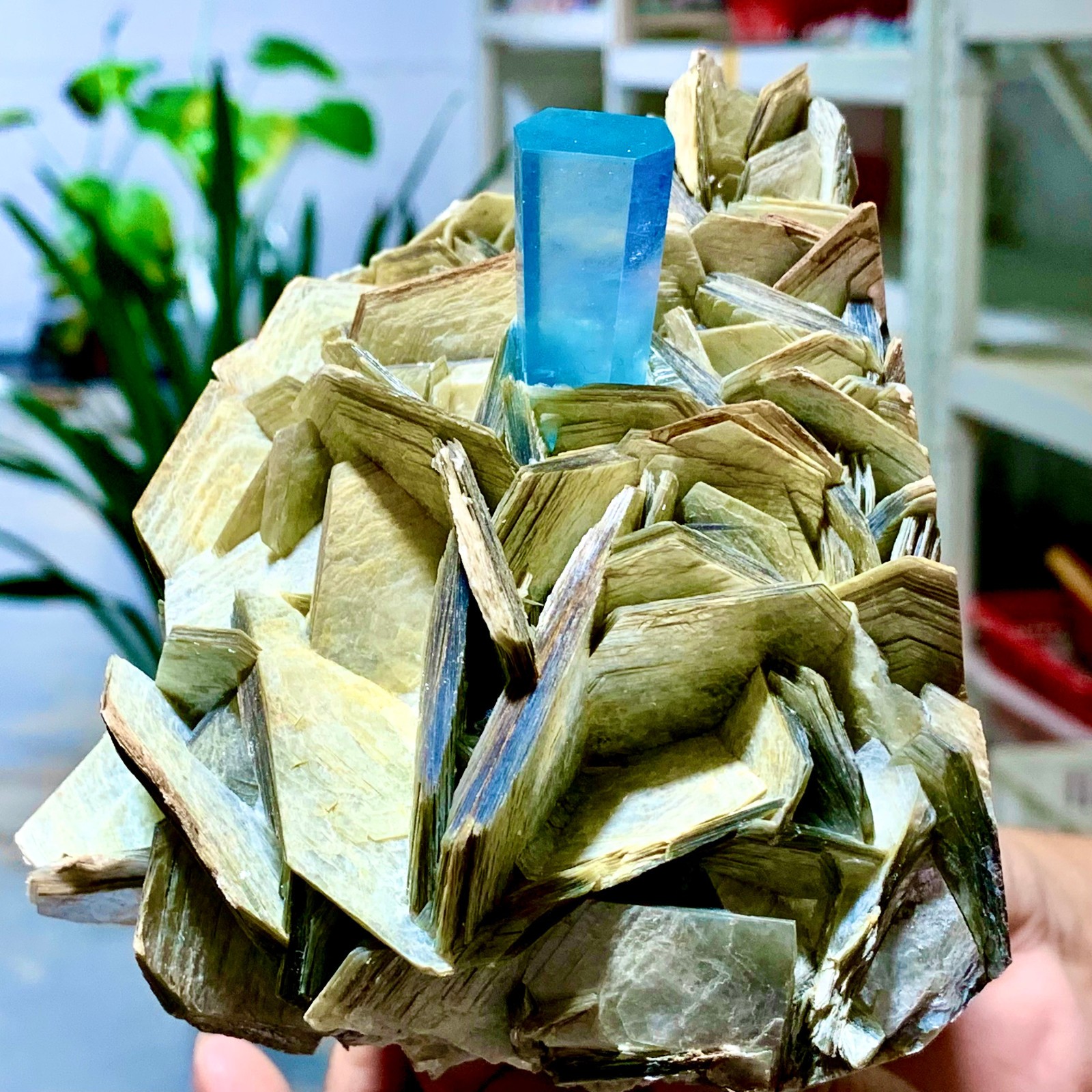 2.24LB Natural Aquamarine Mica paragenesis Crystal Specimen Museum level