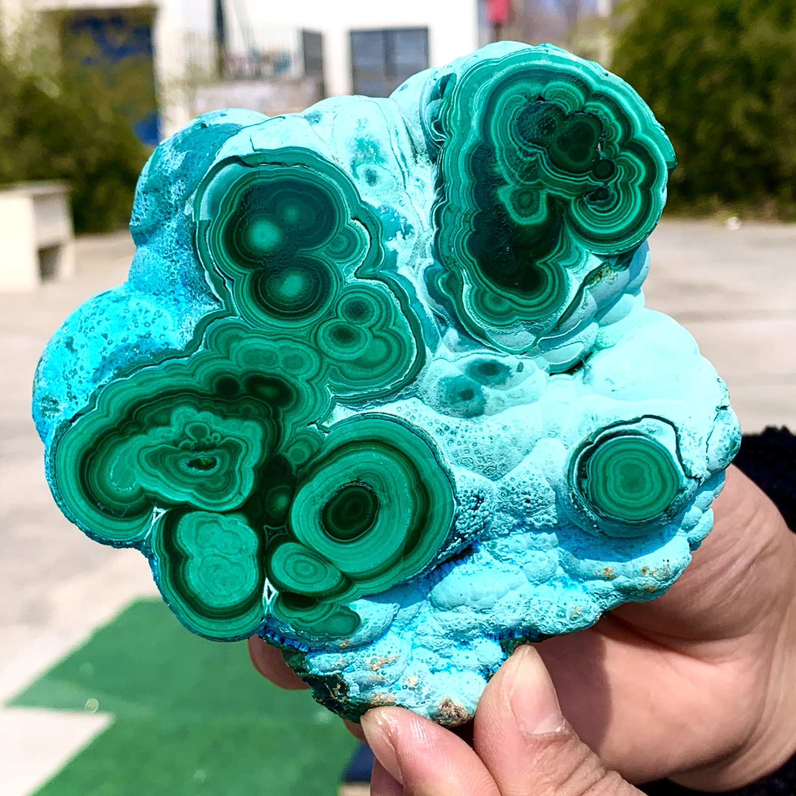 1.92LB Natural Chrysocolla/Malachite transparent cluster rough mineral sample