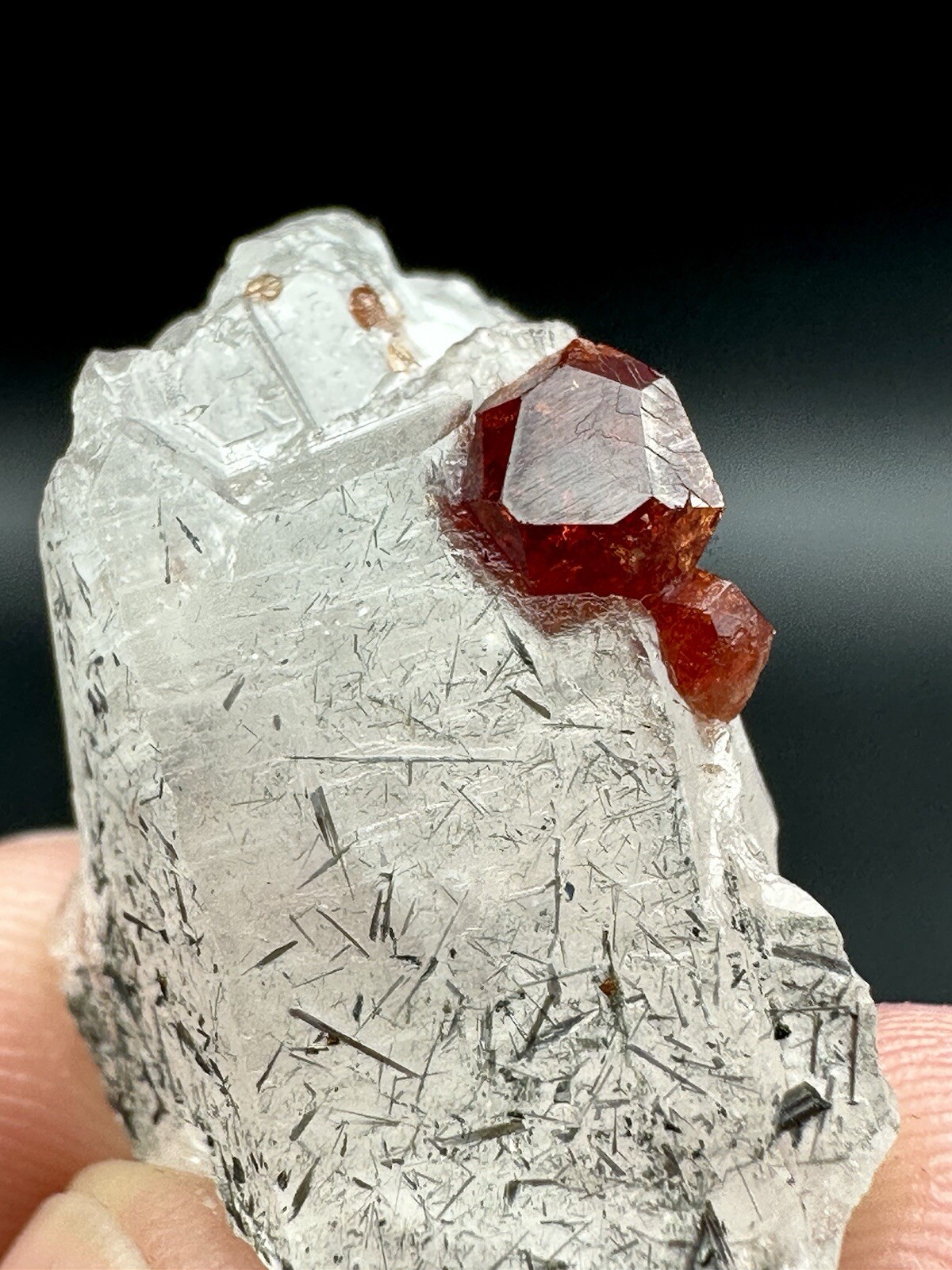 50 CTS Full Terminated Red Colour Garnet On Matrix Specimen @minerals