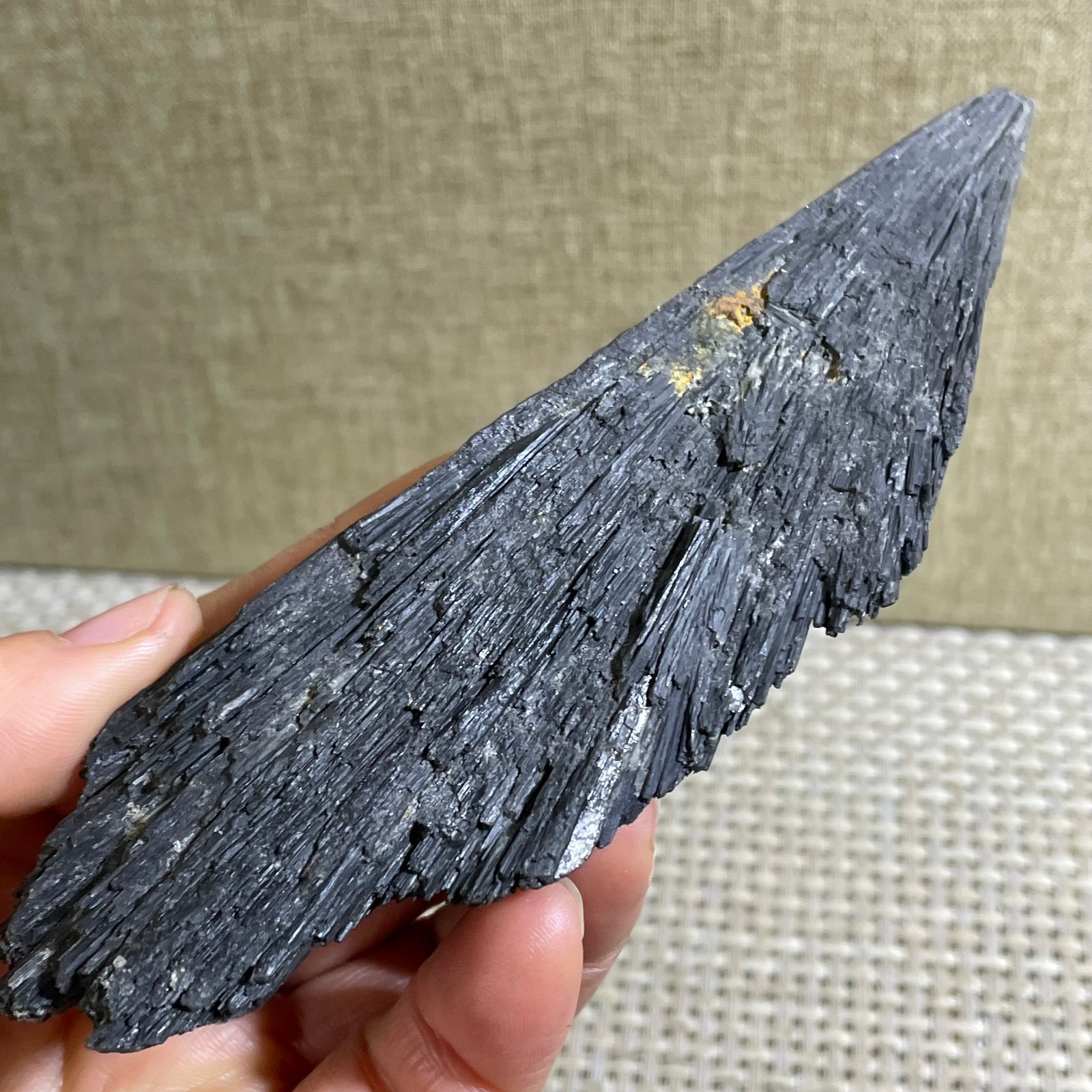 118g Black Kyanite Blades Fans Natural Premium Quality Mineral Specimen rough