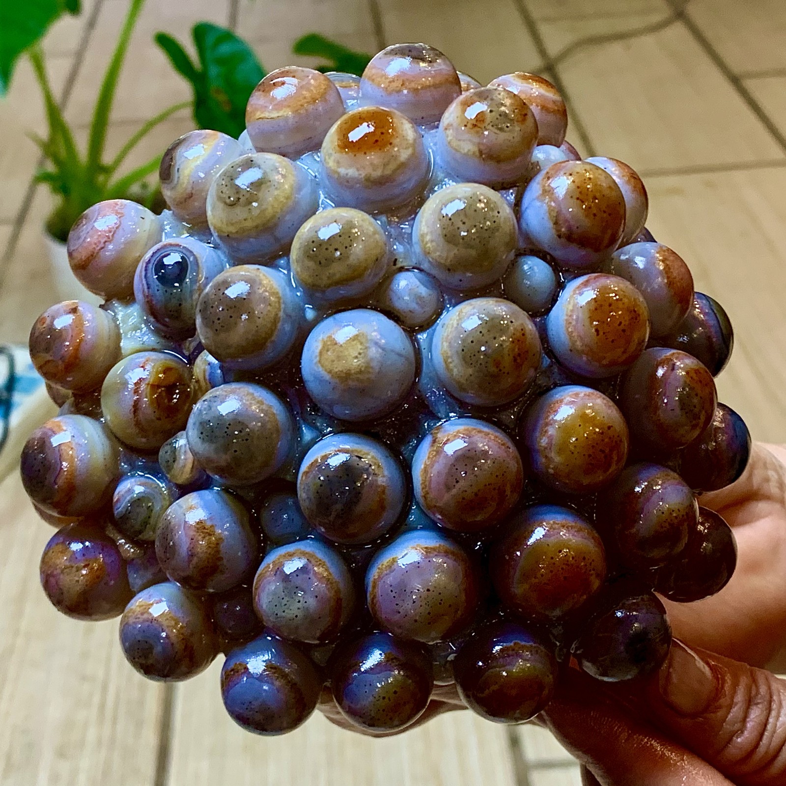 2.24LB Natural Gobi Agate Eye Agate grape shape Crystal Madagascar mineral
