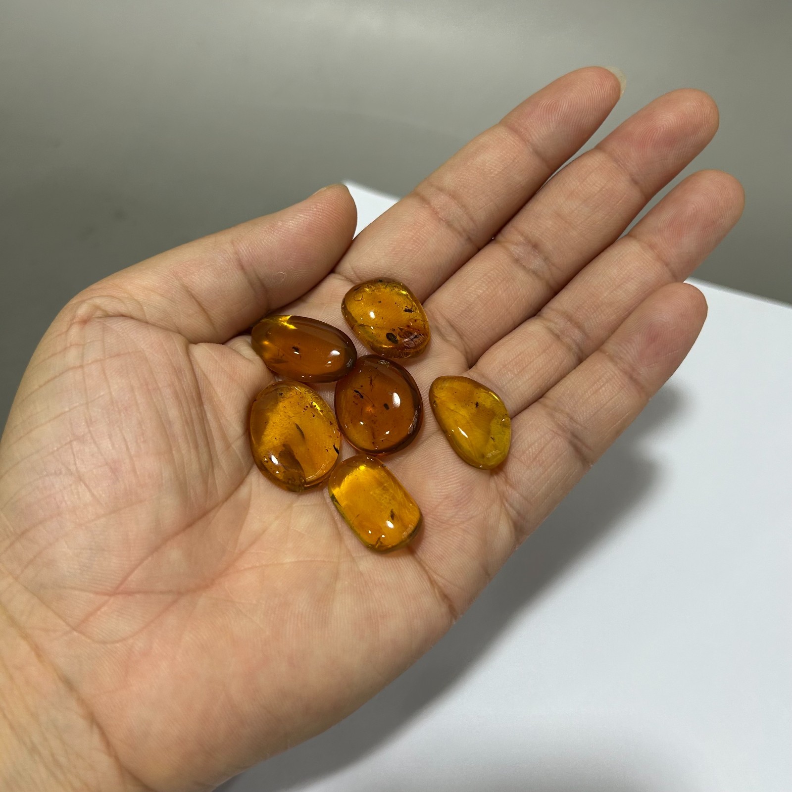 6PCS MINI GENUINE Fossil Insect Inclusion in Burmese amber BALTIC AMBER