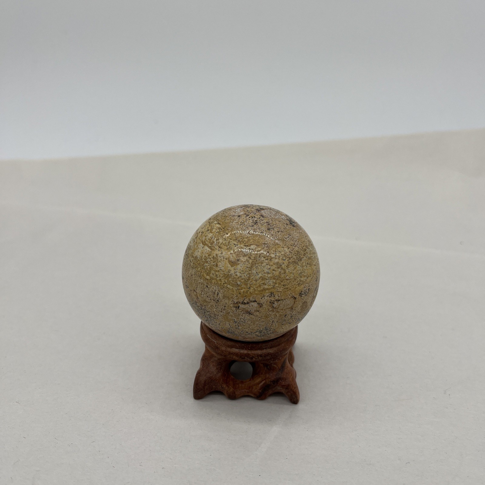 Natural Shell Fossil Quartz Crystal Sphere Ball Stone Healing Mineral Specimen