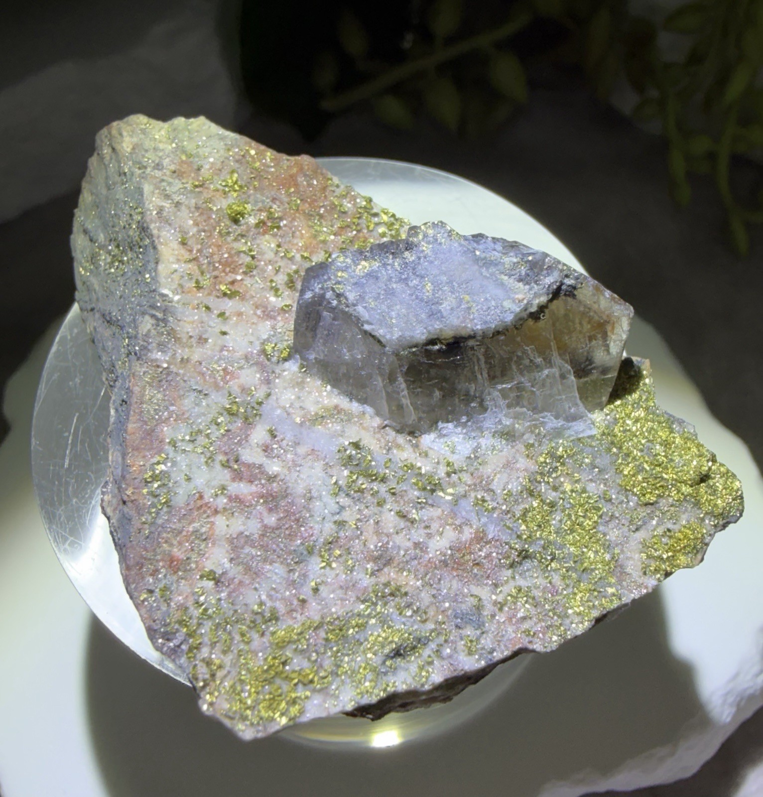 Crystal 30g Garden Quartz On Matrix With Chalcopyrite Specimen Mineral Raw