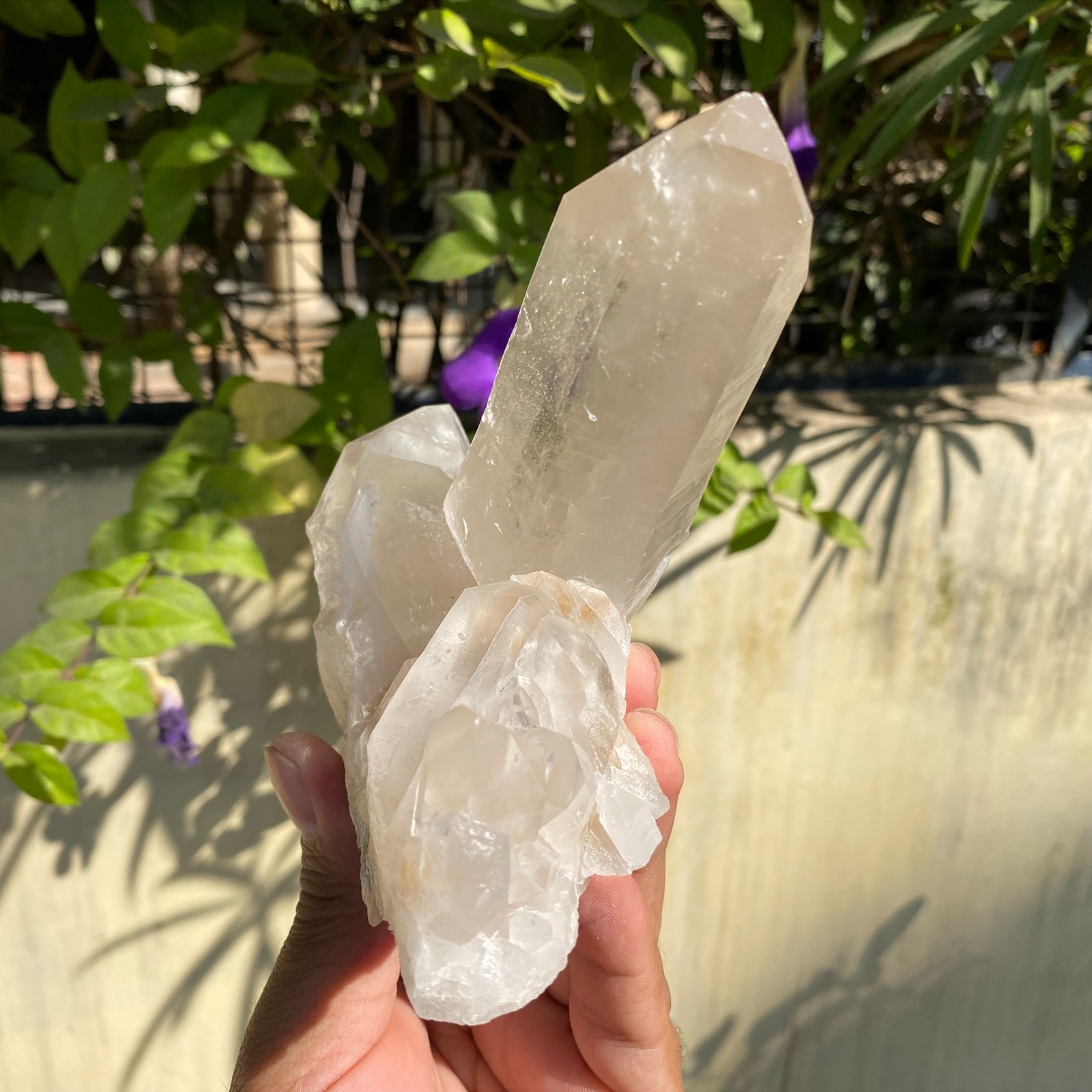 Himalayan Samadhi Cluster Crystal Healing Quartz Clear White 1.62 lbs