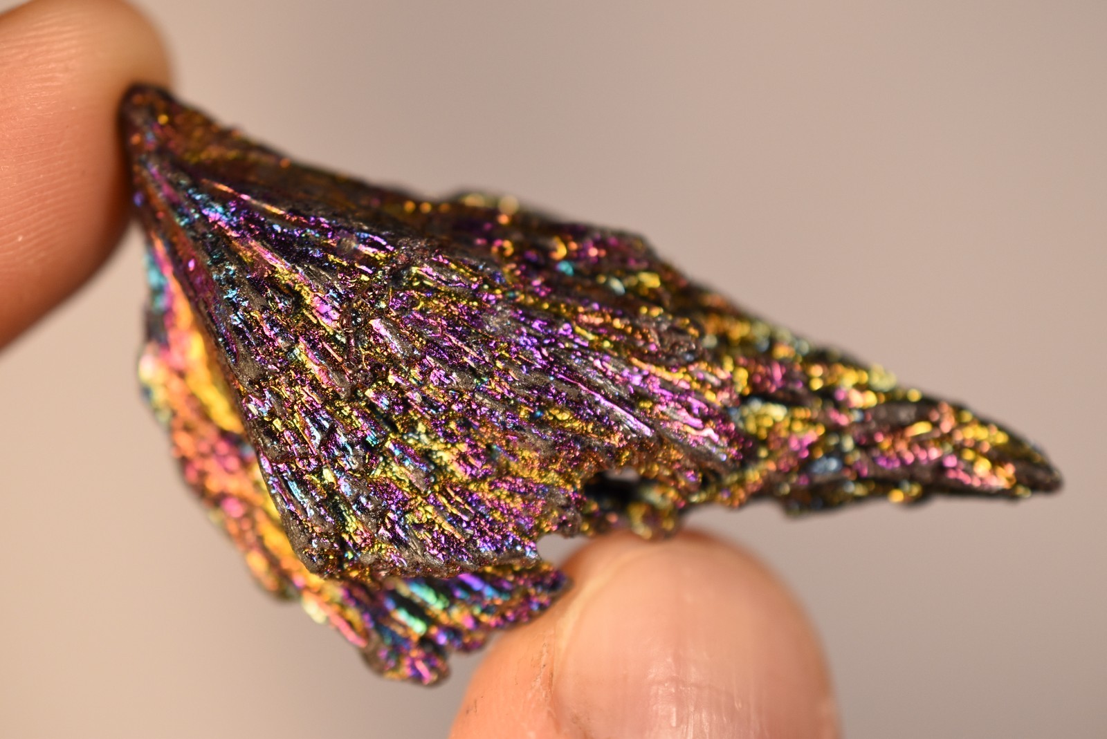 *RAINBOW KYANITE* Crystal 5.8cm 17.3g Titanium Aura Black Kyanite
