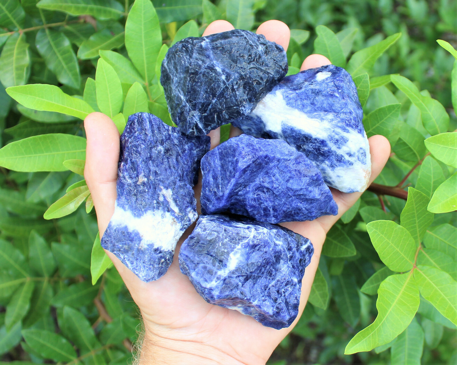 LARGE Sodalite Rough Natural Stones (2.5 – 4″) – Raw Sodalite Crystal Bulk lots