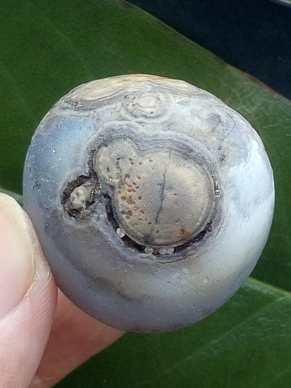 36mm Natural agate Gobi agate eye agate stone collection Landscape stone