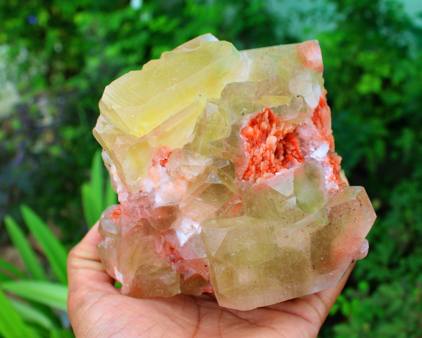 GREEN, YELLOW APOPHYLLITE CRYSTAL ,CUBES FORMAT ON STILBITE MINERAL SPECIMEN