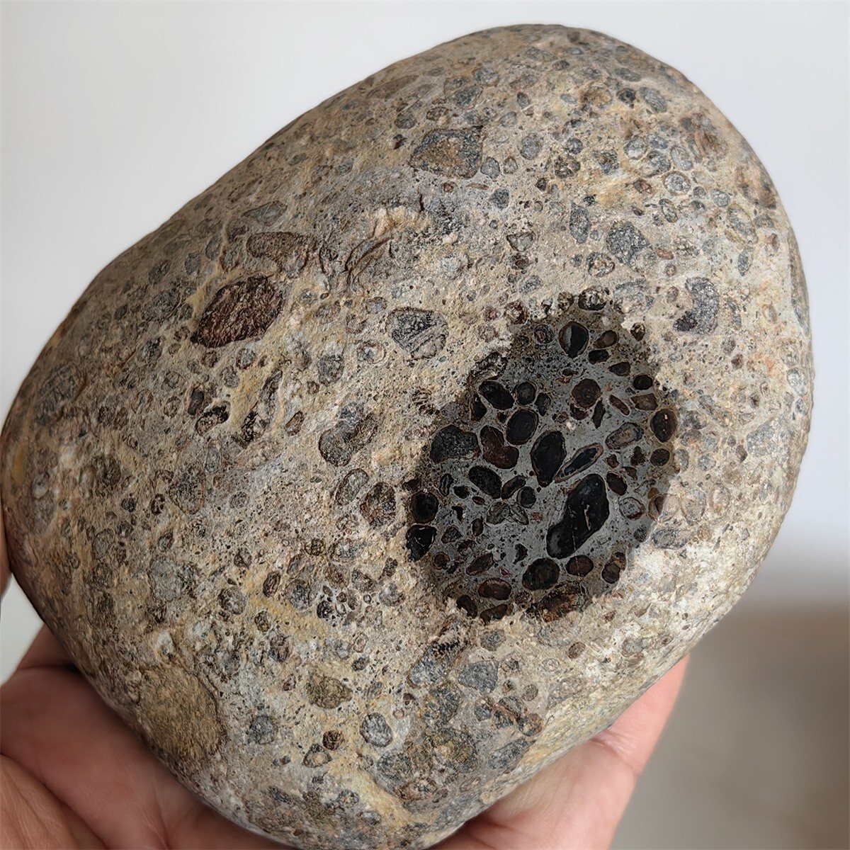 2.39 LB Natural Chondritic Meteorite Specimen from China S665