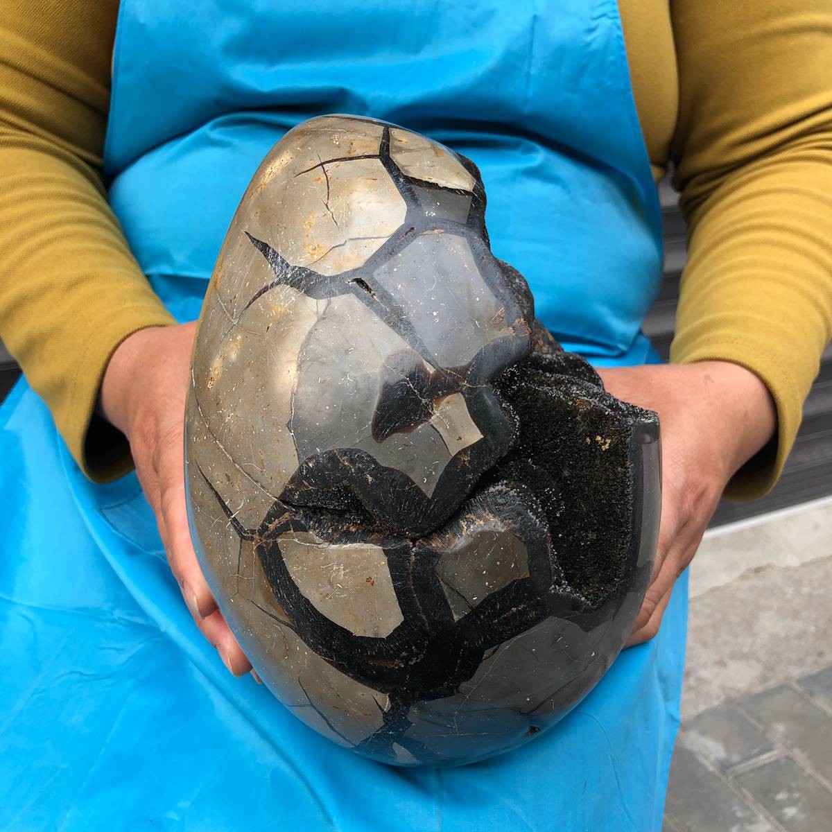 6400G Natural Turtle Back Stone Dragon Crystal Cave Crack Gem Healing 4349