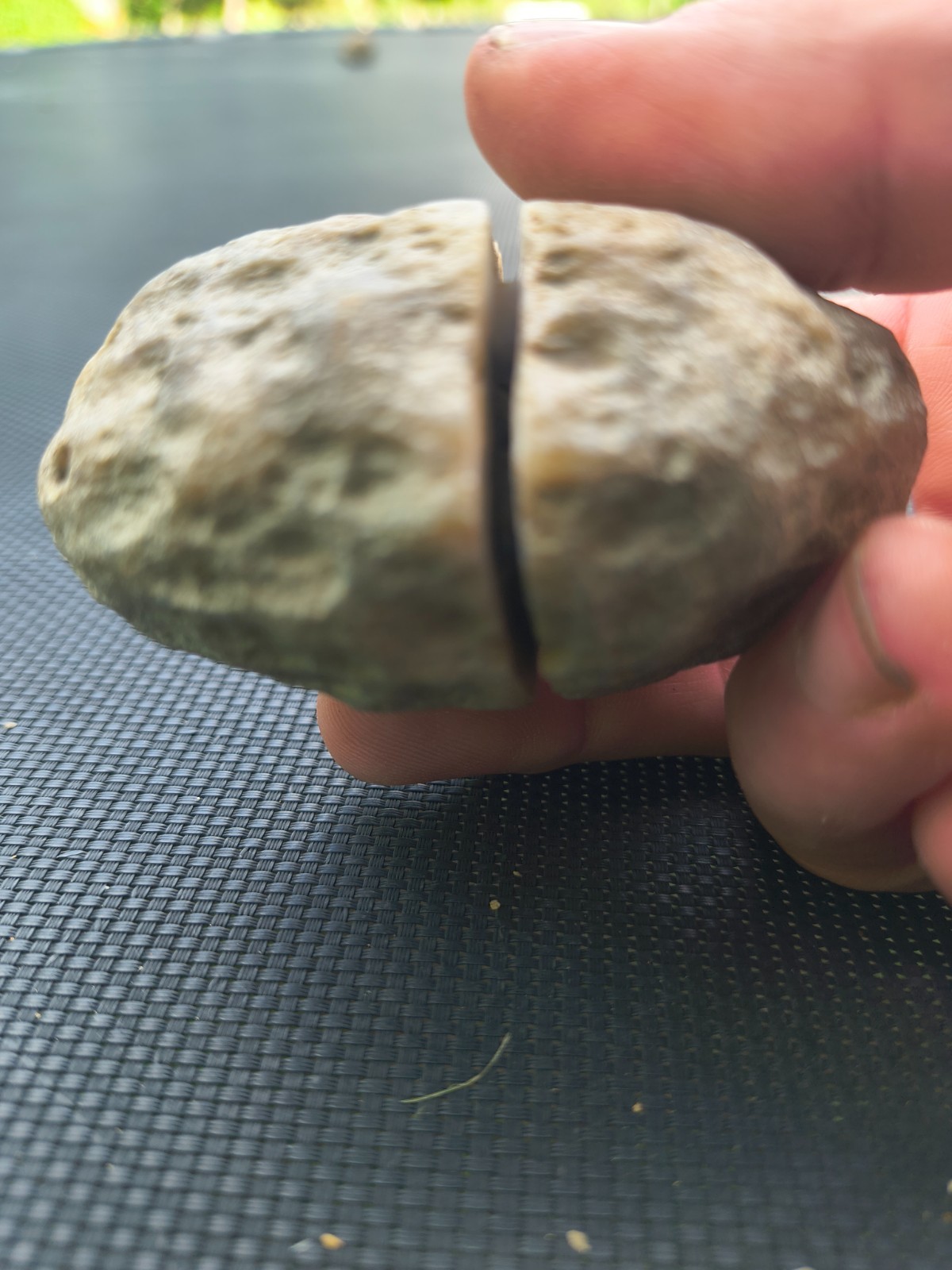 3 Large Kentucky Geodes – Pre-Scored Crack Your Own – KY Crystal Rock Lot