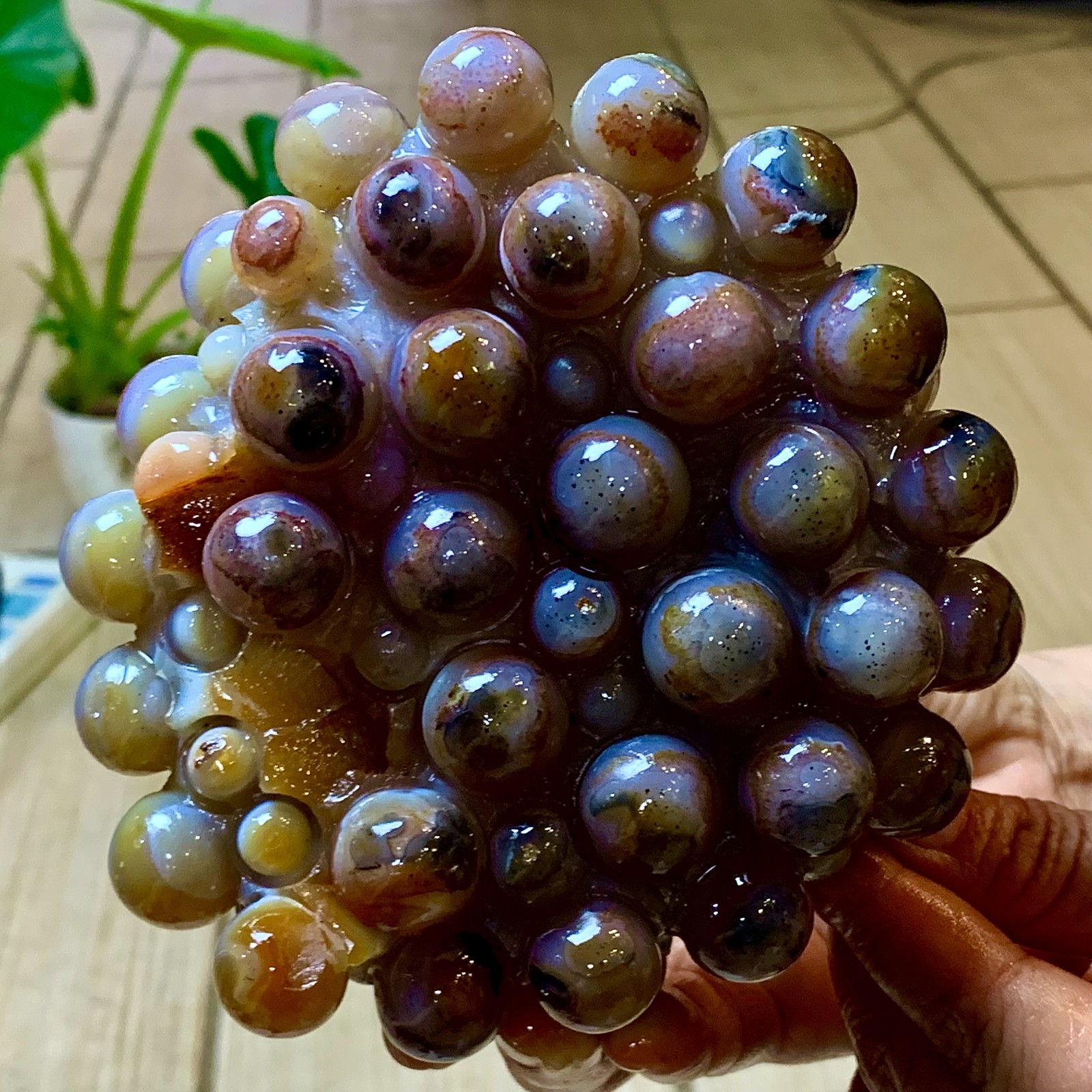 2.24LB Natural Gobi Agate Eye Agate grape shape Crystal Madagascar mineral