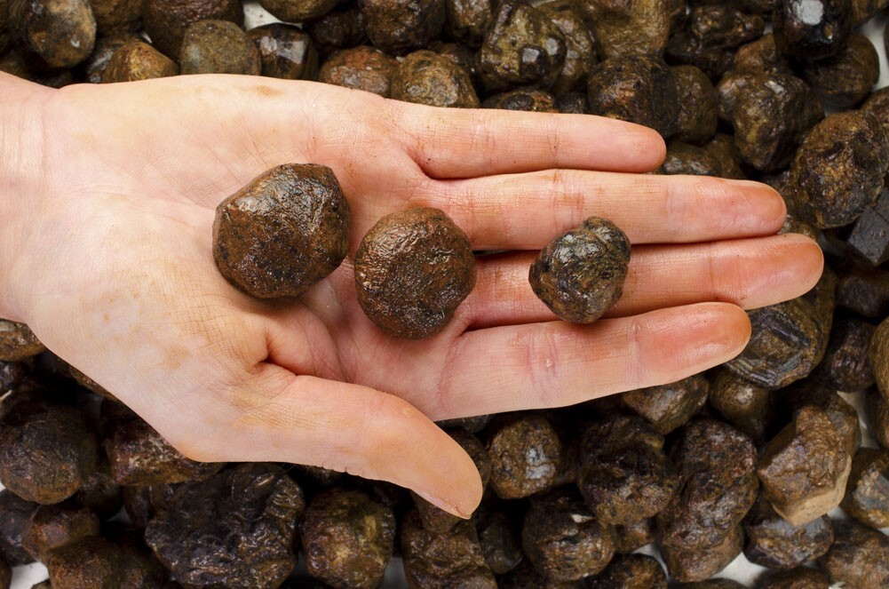 1/2 lb Mali Garnet Rough Stones -Natural Crystal Mineral Rock Specimens Tumbling