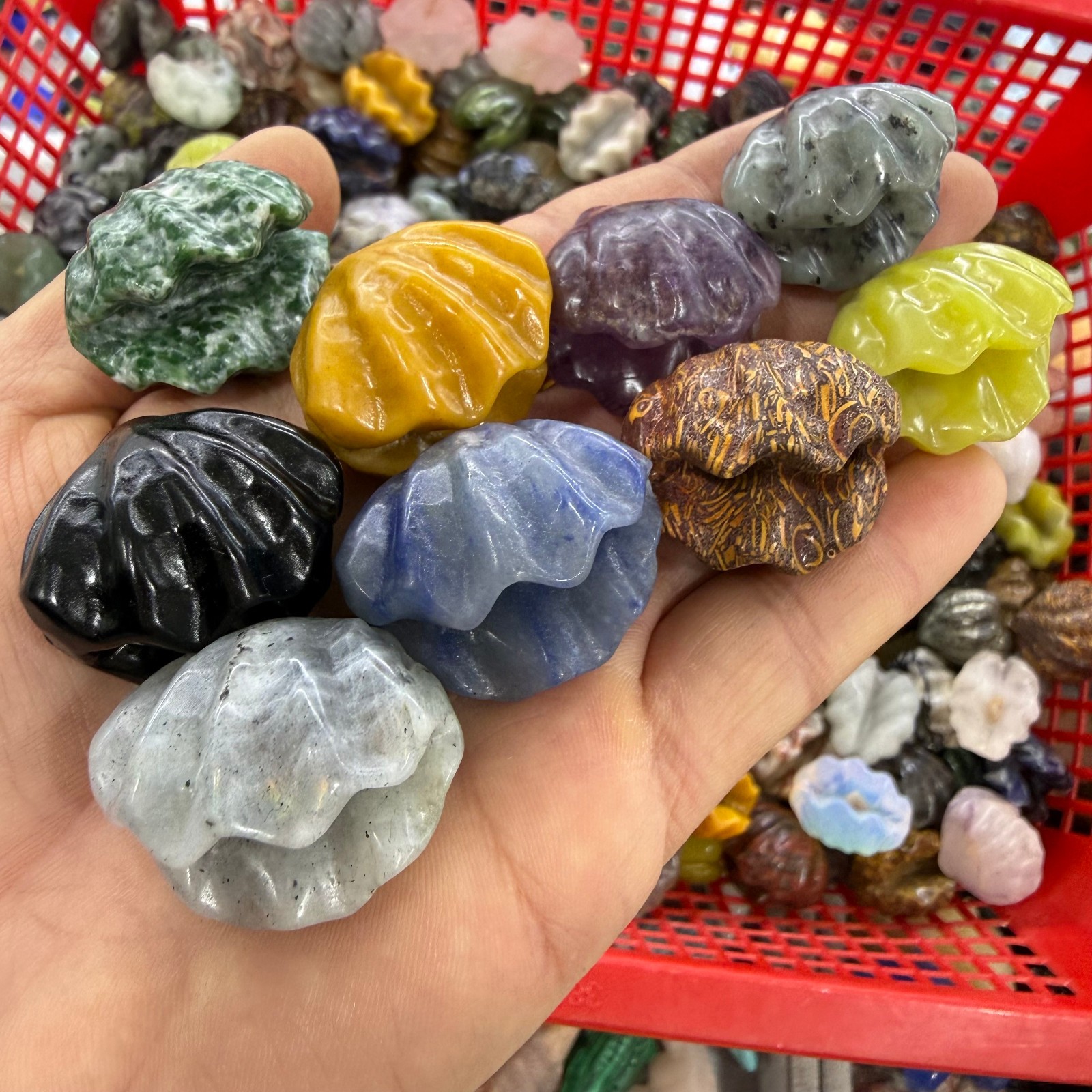 50pc Natural Mixing Shell Quartz Crystal Carved Reiki Healing
