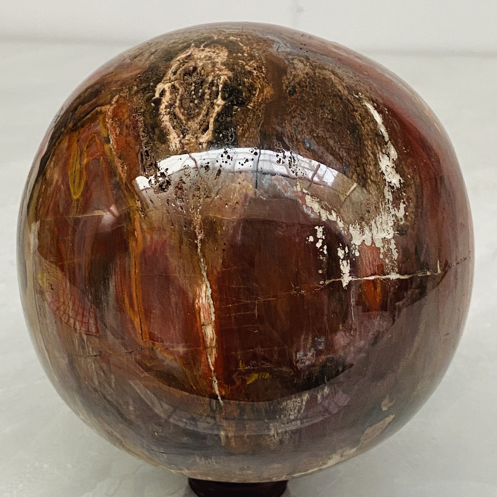 Natural Petrified Wood Polished Stone Quartz Crystal Sphere Ball Healing 2940G
