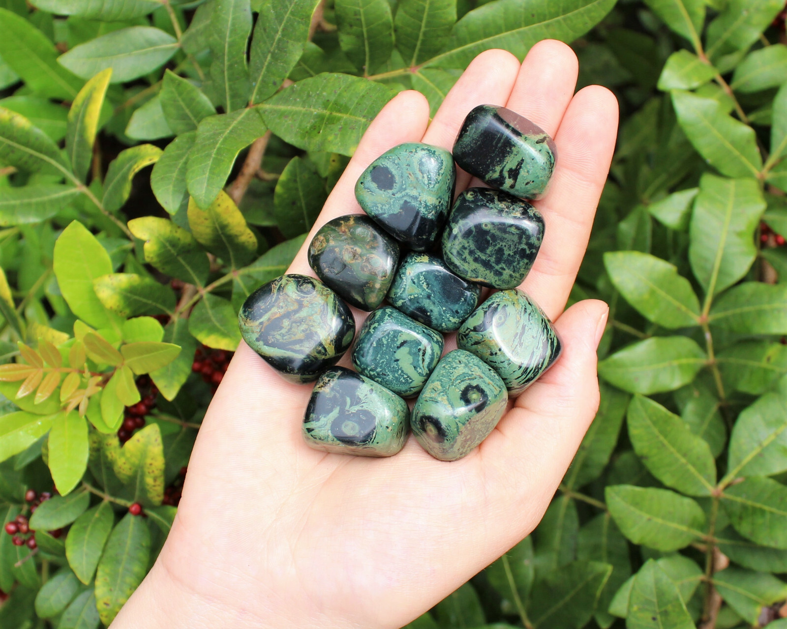 Kambaba Jasper Tumbled: Choose How Many Pieces (Tumbled Crocodile Jasper)