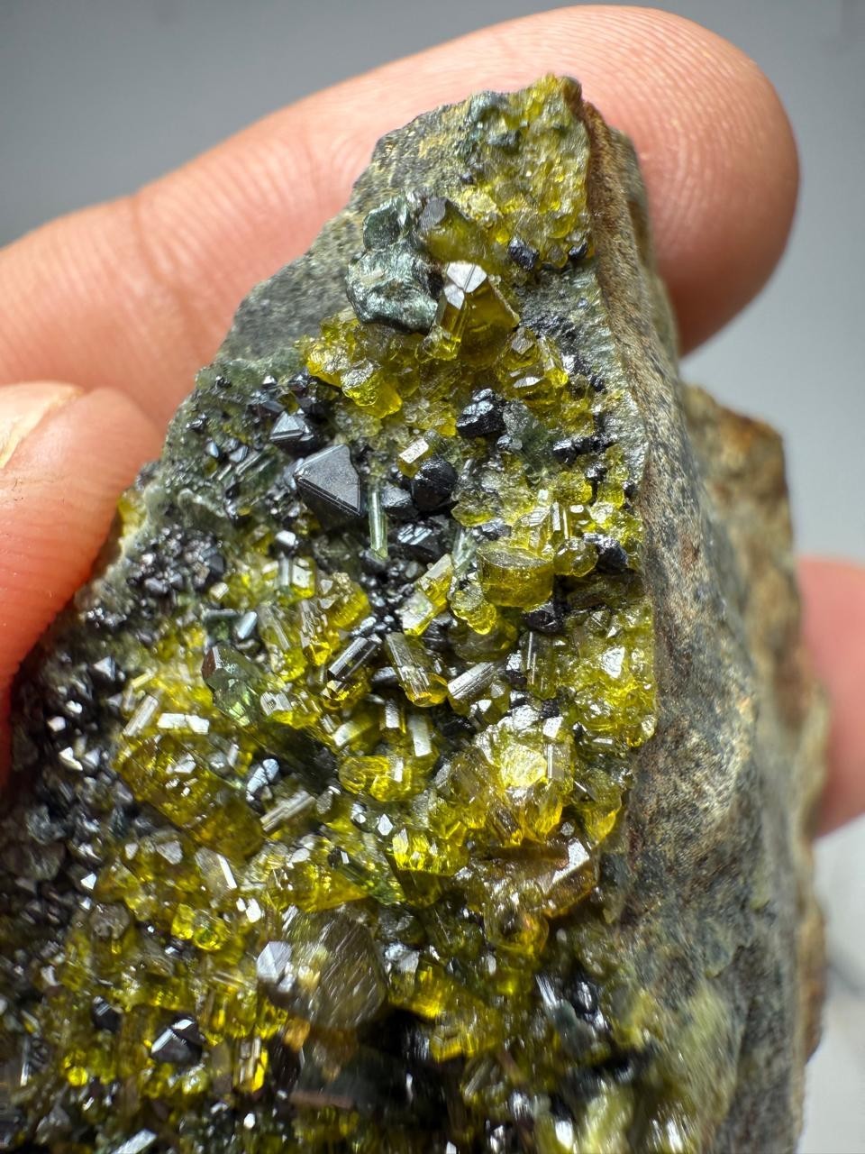 88-Gr Vesuvianite crystal specimen with Diopside &Magnetite Clinochlore from PAk