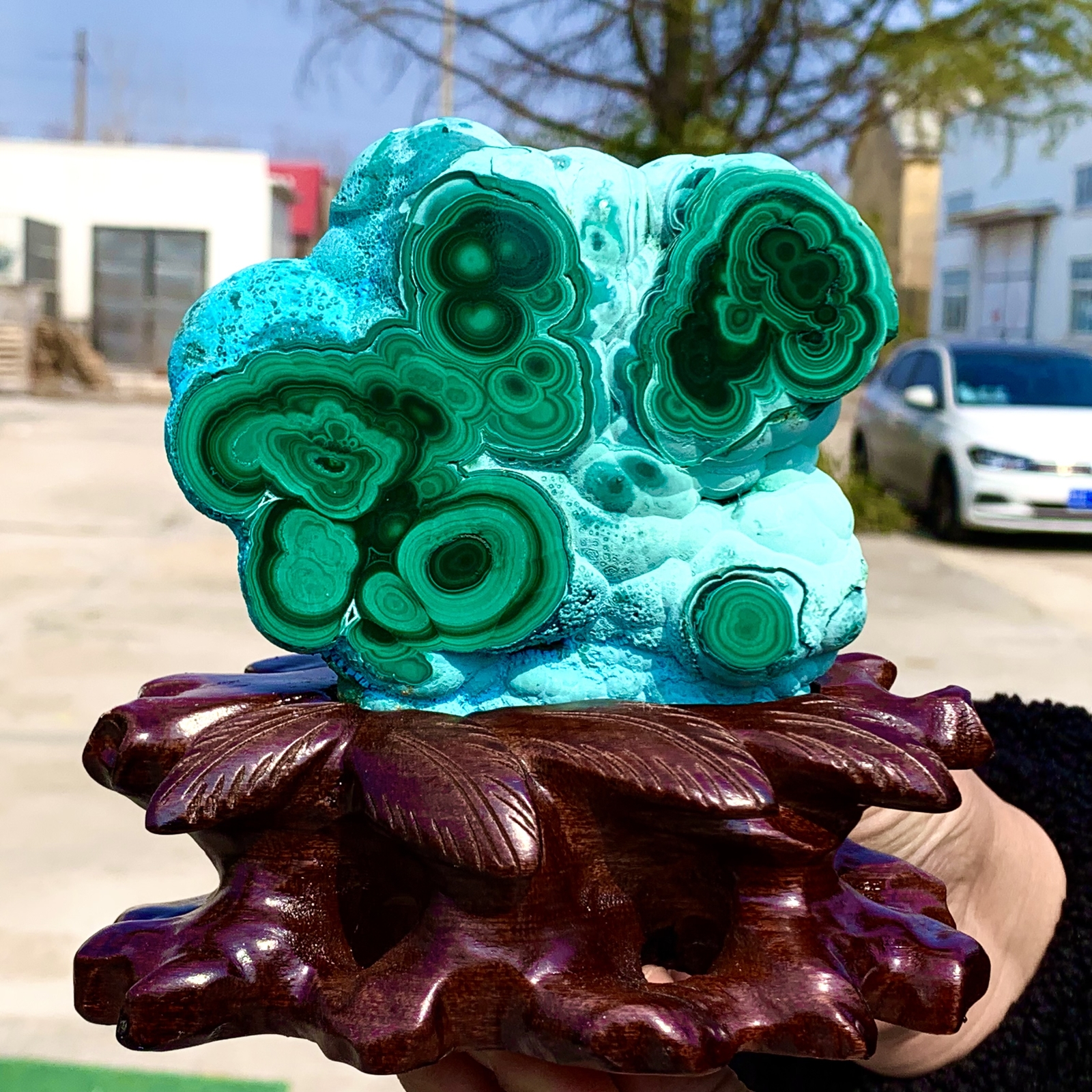 1.92LB Natural Chrysocolla/Malachite transparent cluster rough mineral sample
