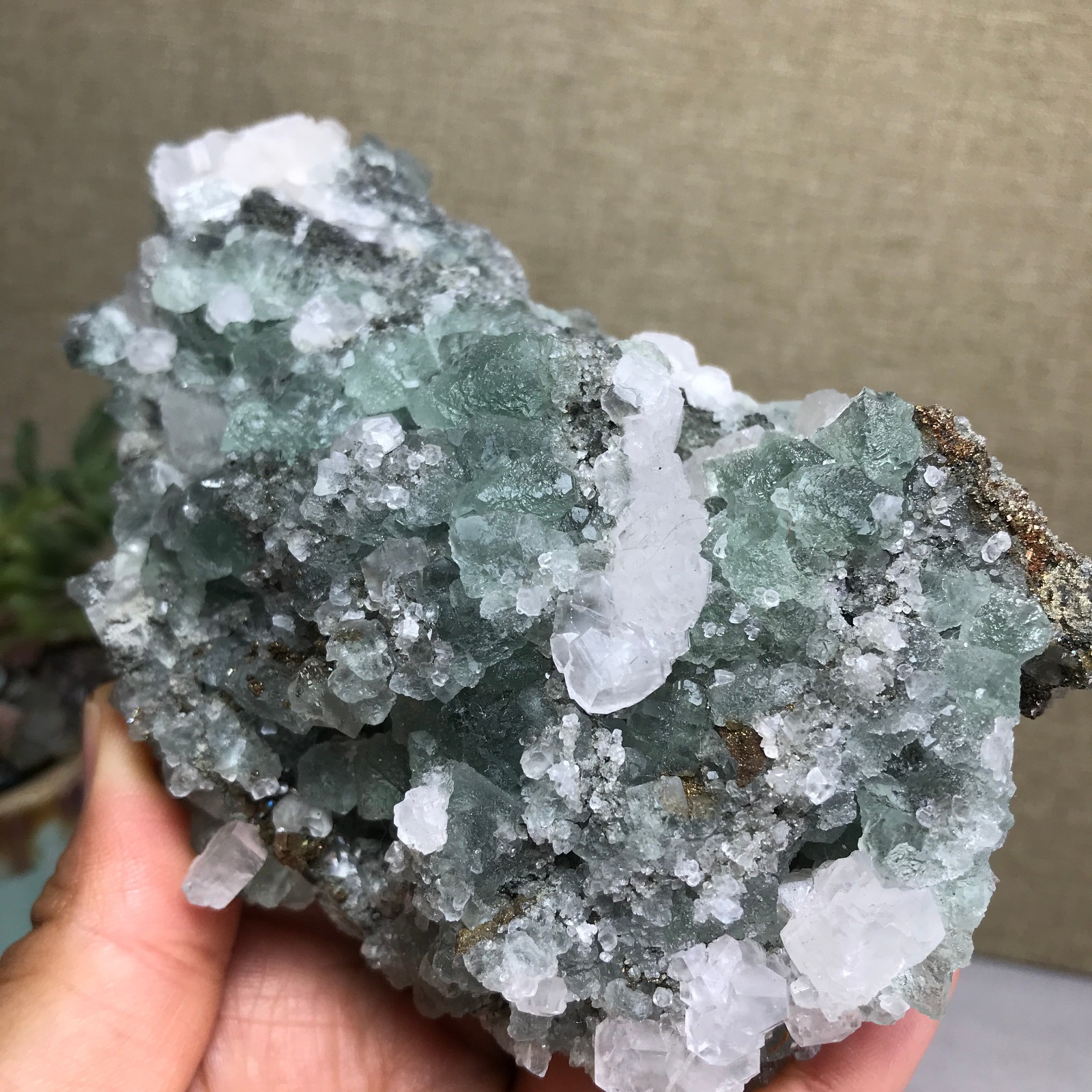 423g NATURAL Green Cubic FLUORITE paragenesis Crystal Cluster Specimen A4779