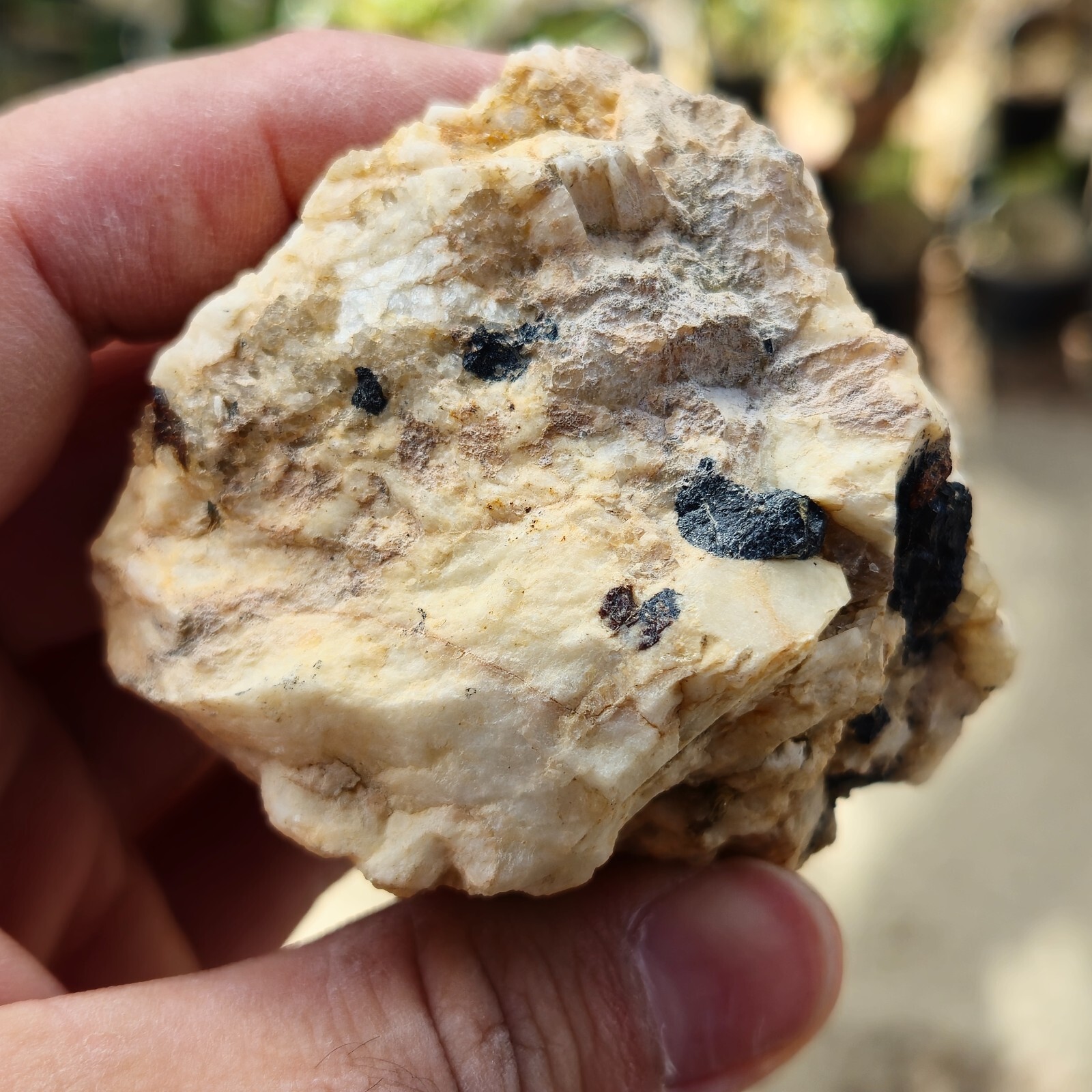 Feldspar Tourmaline W/Garnets Specimen From Mountains of San Diego, California