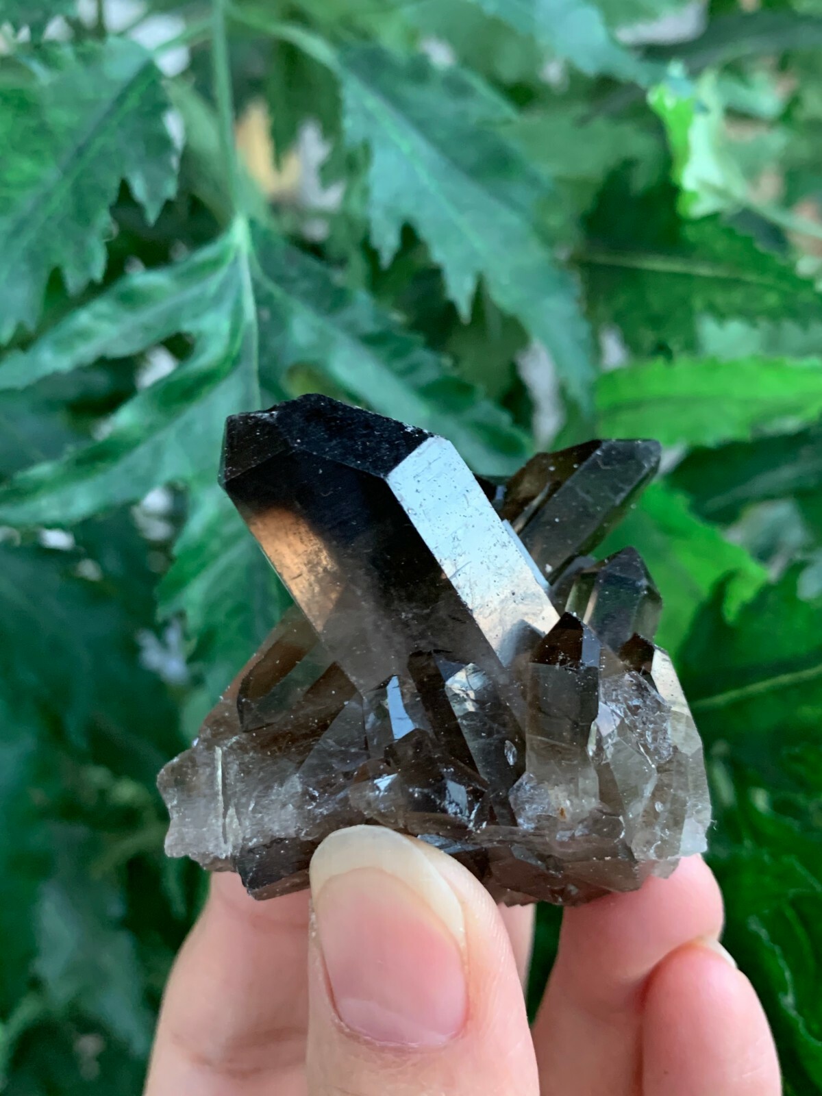 Grade A++ Smoky Quartz Cluster, 1.5-3 Inch Smoky Quartz Crystals, Pick A Size