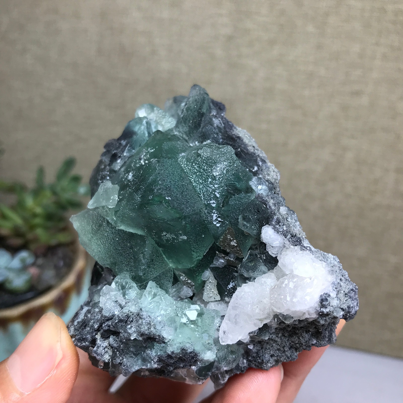 215g NATURAL Green Cubic FLUORITE paragenesis Crystal Cluster Specimen A4777