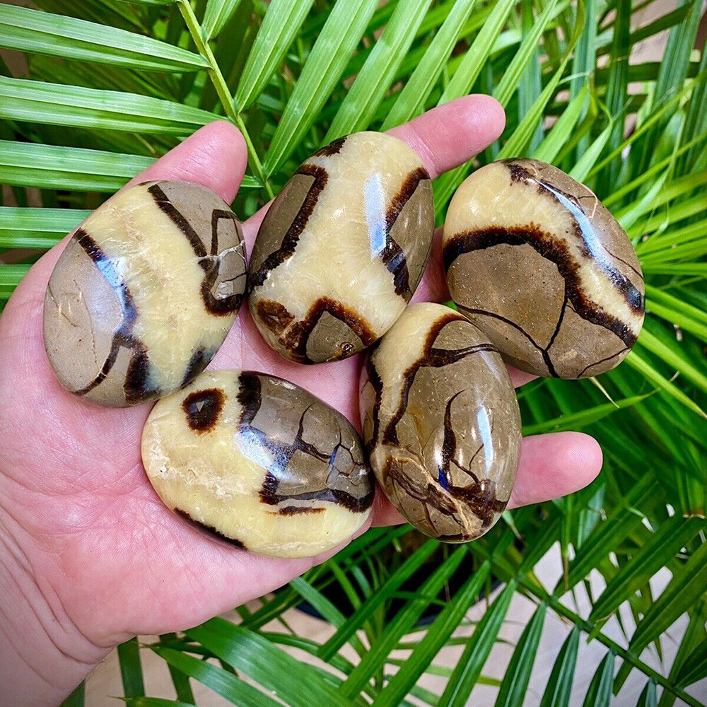 Septarian Crystal Dragon Stone Healing Crystals Yoga Reiki Meditation Minerals