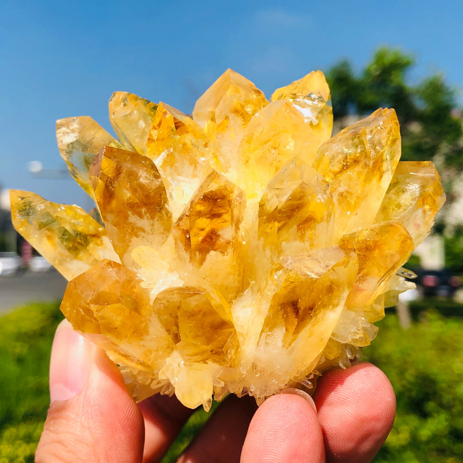 300-400g Yellow Phantom Quartz Citrine Crystal Cluster Mineral Specimen Healing