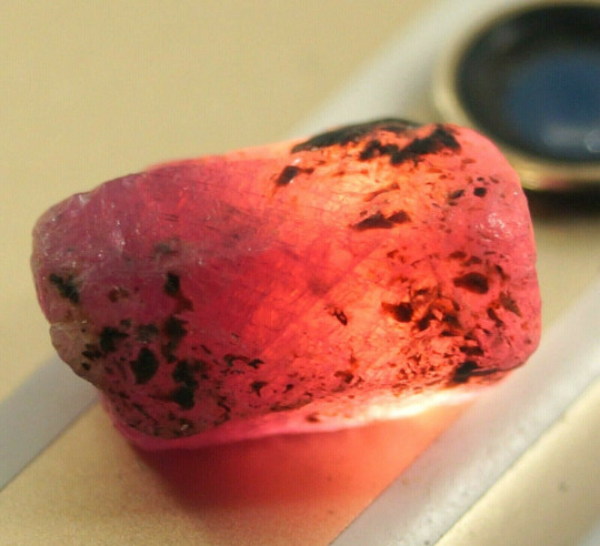 Certified 500 Cts Untreated Nailing Ruby & Sapphire Rough Lot Natural Crystals