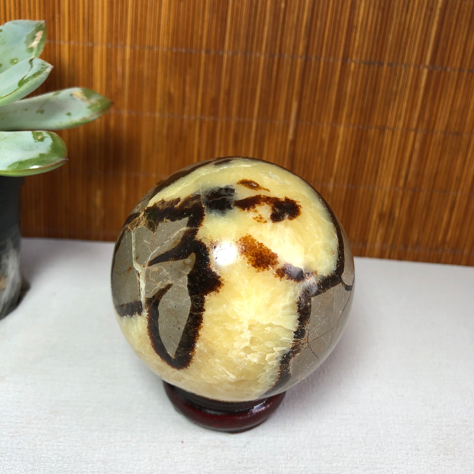 64mm Natural Energy septarian Turtle back Ancient Rock Ball sphere 362g g7748