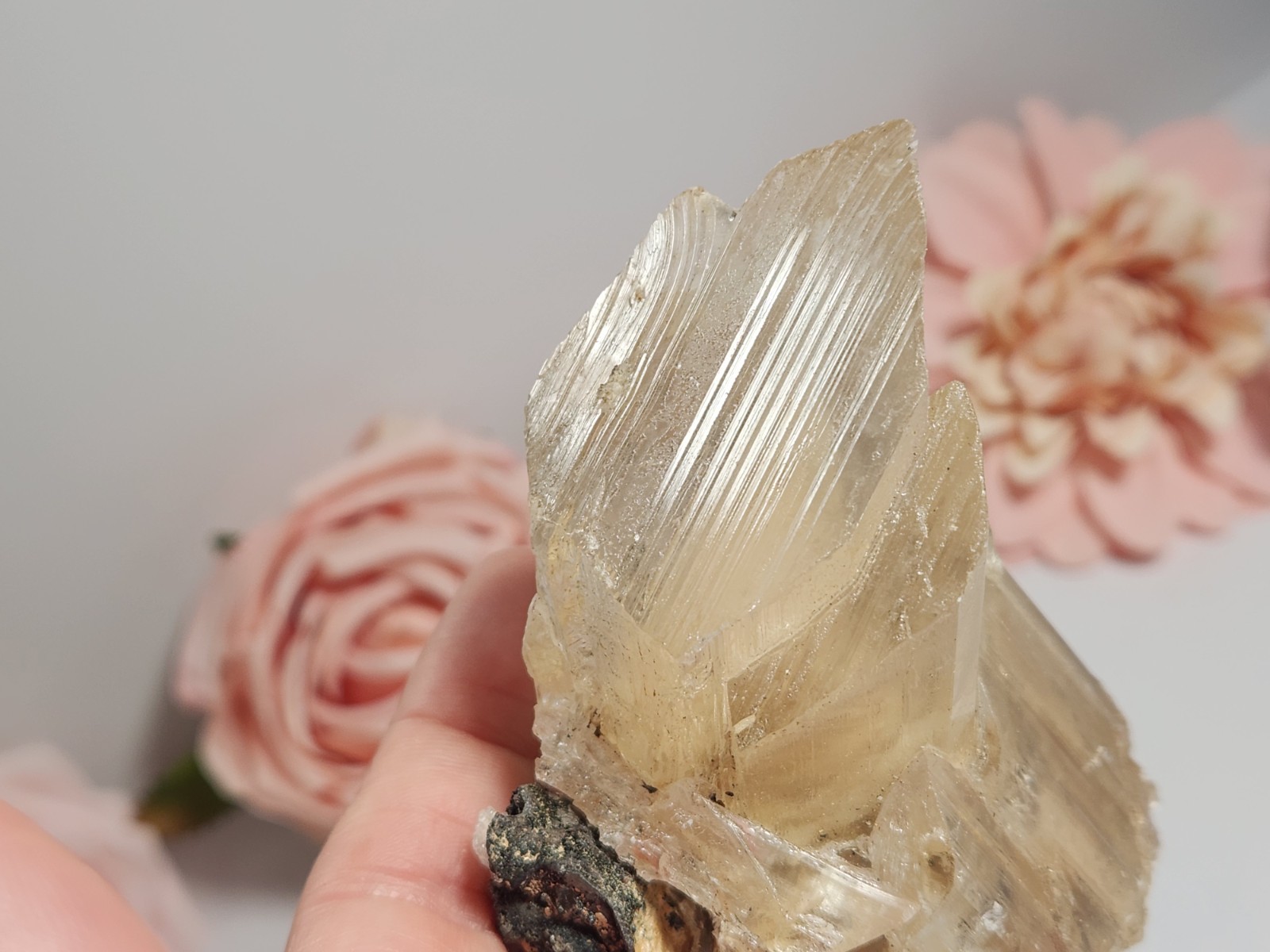 Naicia Selenite Crystal 188g Mineral Specimen Mexico 3.5×2.5×2 Inches Z5