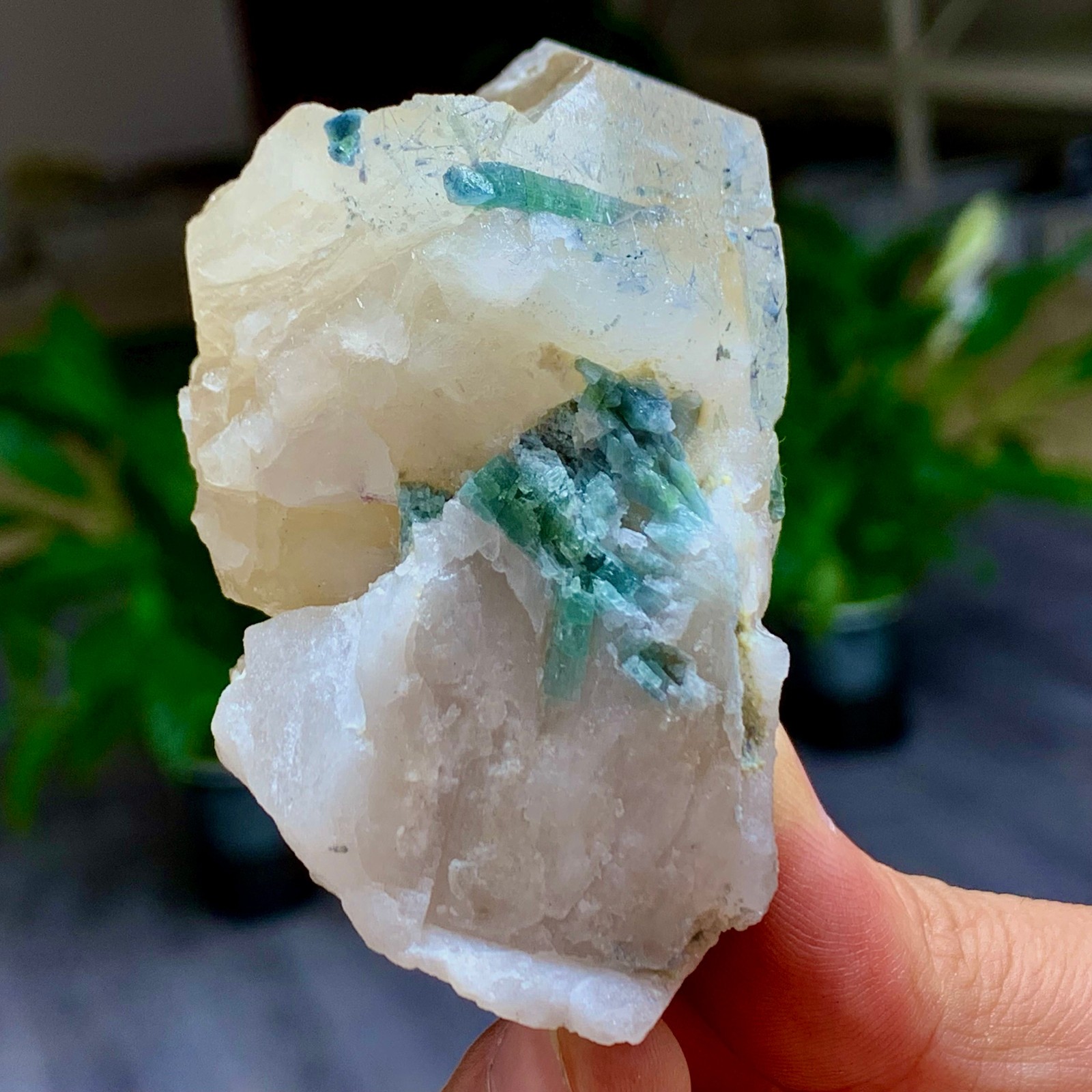 133G Natural tourmaline quartz crystal cluster mineral specimen