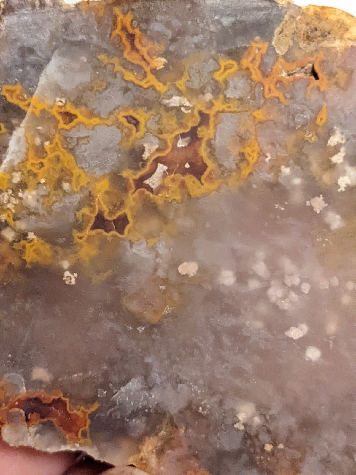 Awesome Orange Red Kentucky Agate Slab Slice