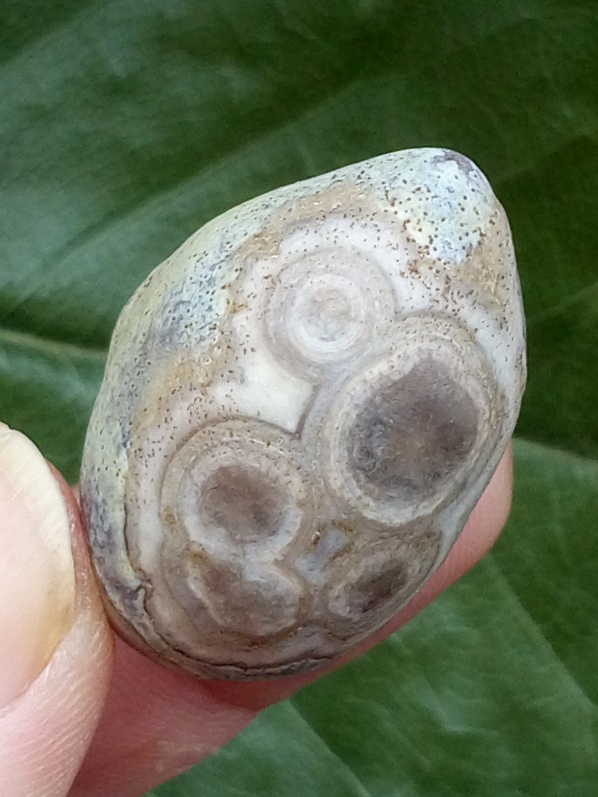 33mm Beautiful Natural Gobi agate eye agate collection Landscape stone
